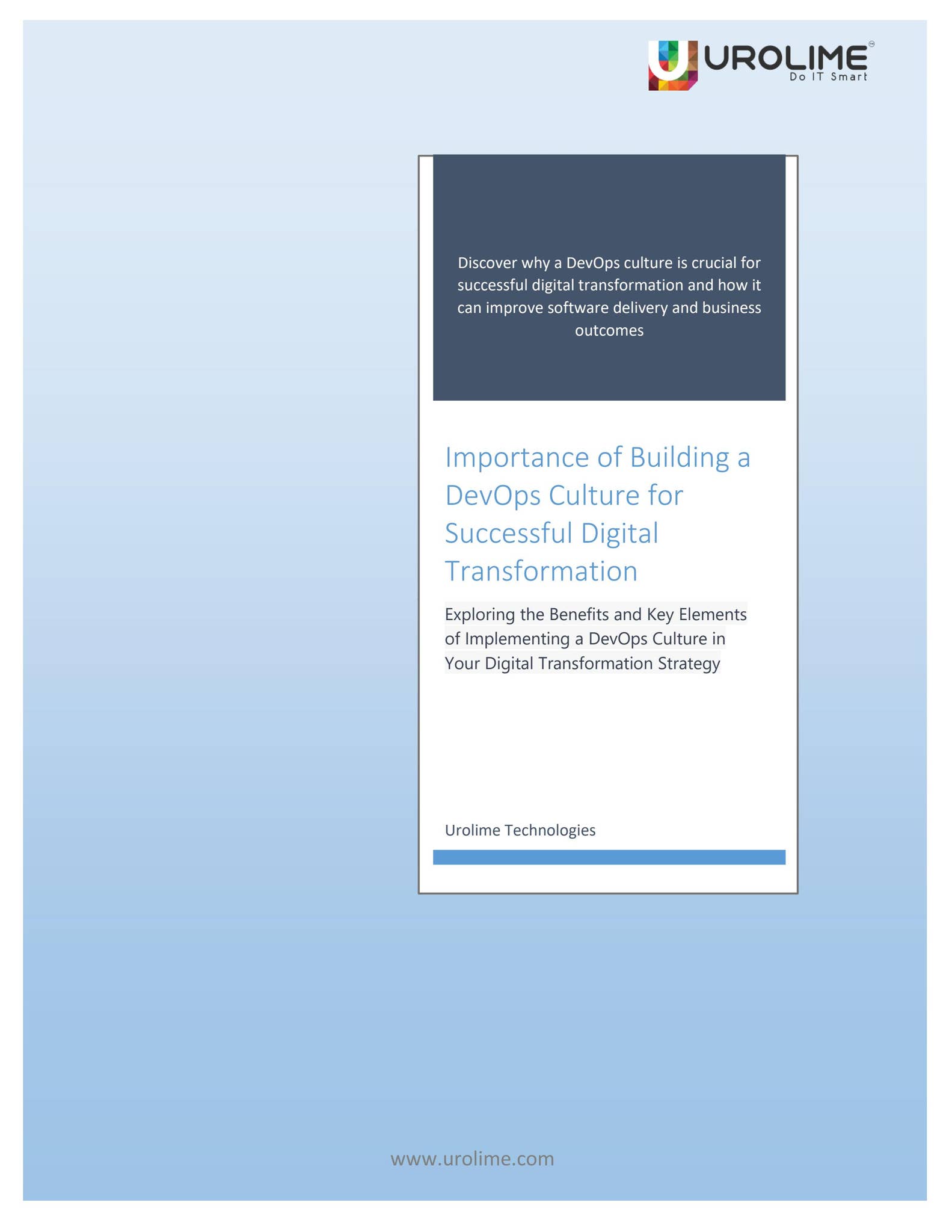 Importance of Building a DevOps Culture for Successful Digital ...