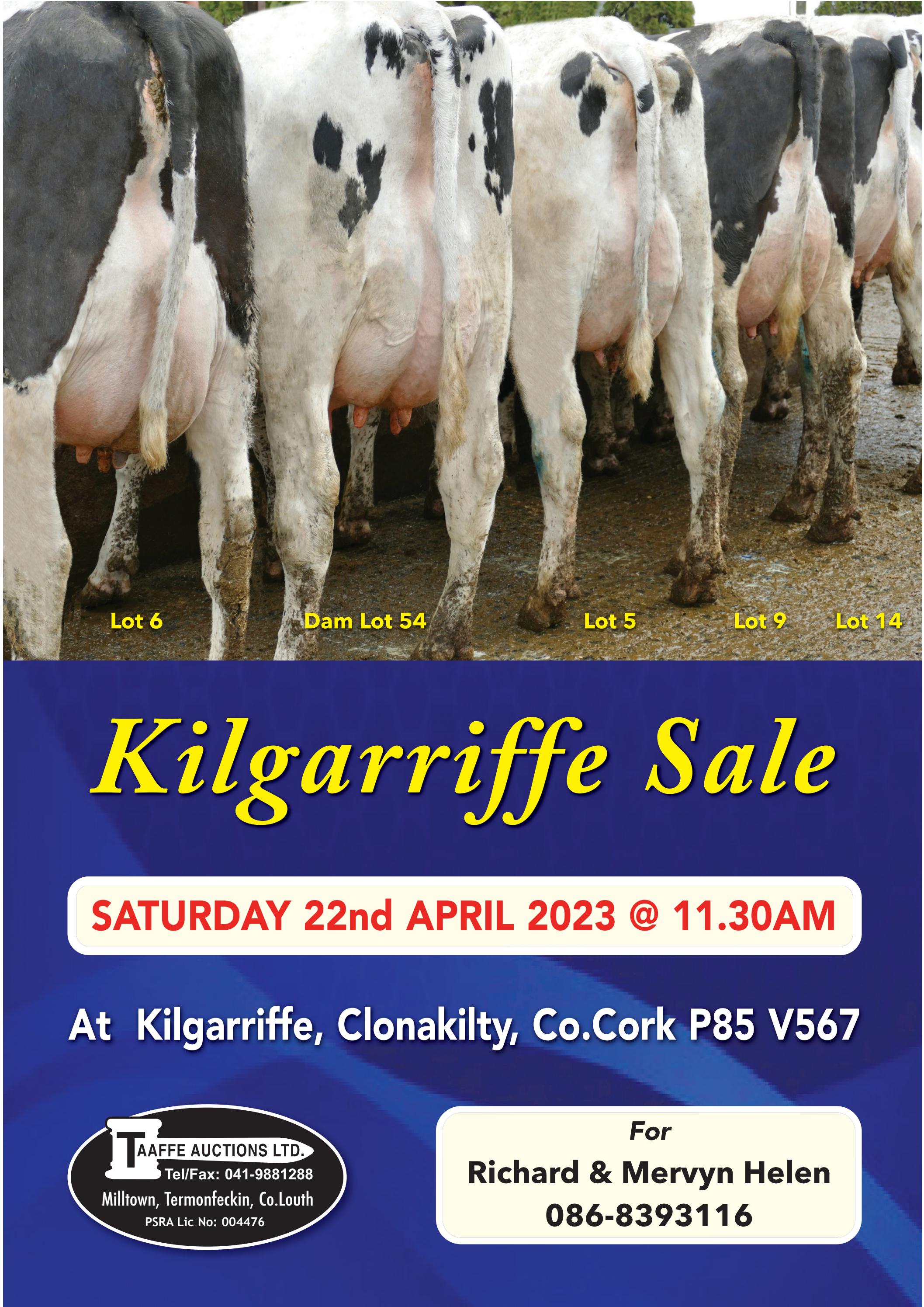 KILGARRIFFE SALE 2023 by TAAFFE AUCTIONS LTD Issuu