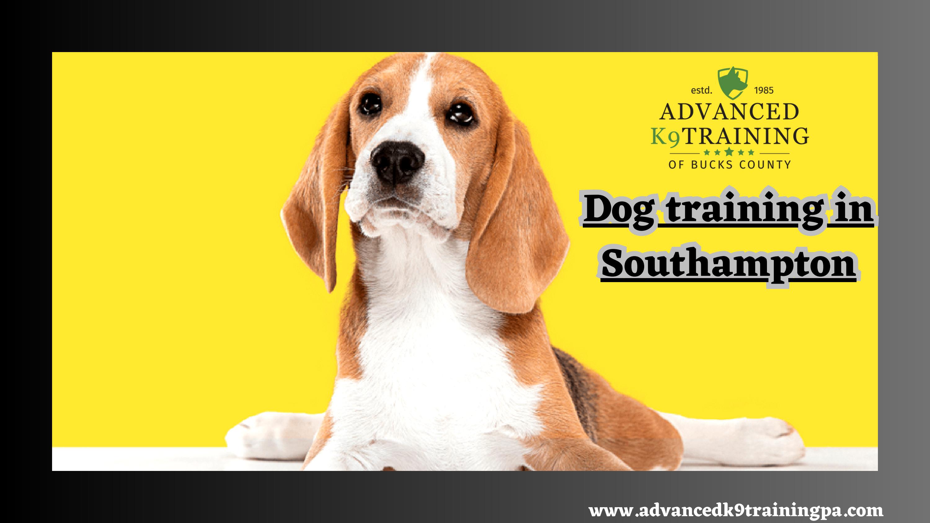 The Best Dog Training in Southampton Advanced K9 Training by