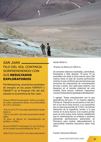 Page 25