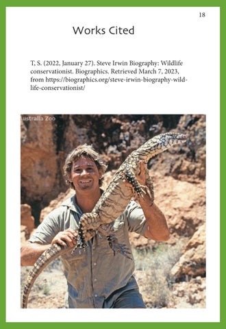 Steve Irwin Memorial 第 19 页