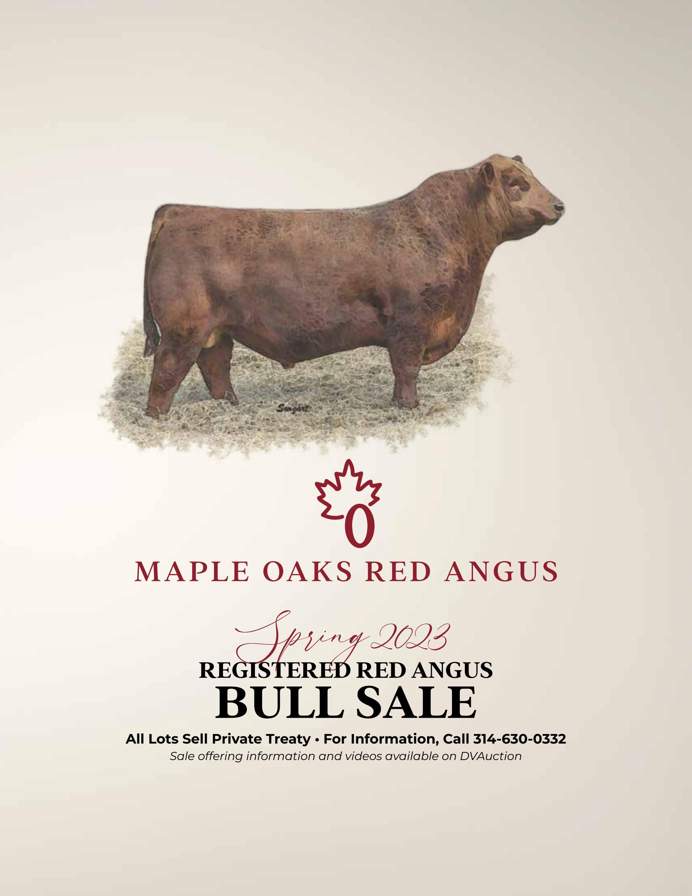 Maple Oaks Red Angus Spring Bull Sale 2023 by Generation 6 Marketing
