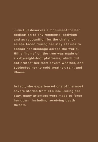 Julia Hill 第 11 页