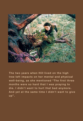 Julia Hill 第 12 页
