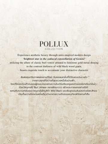 POLLUX 家具产品集 第 2 页