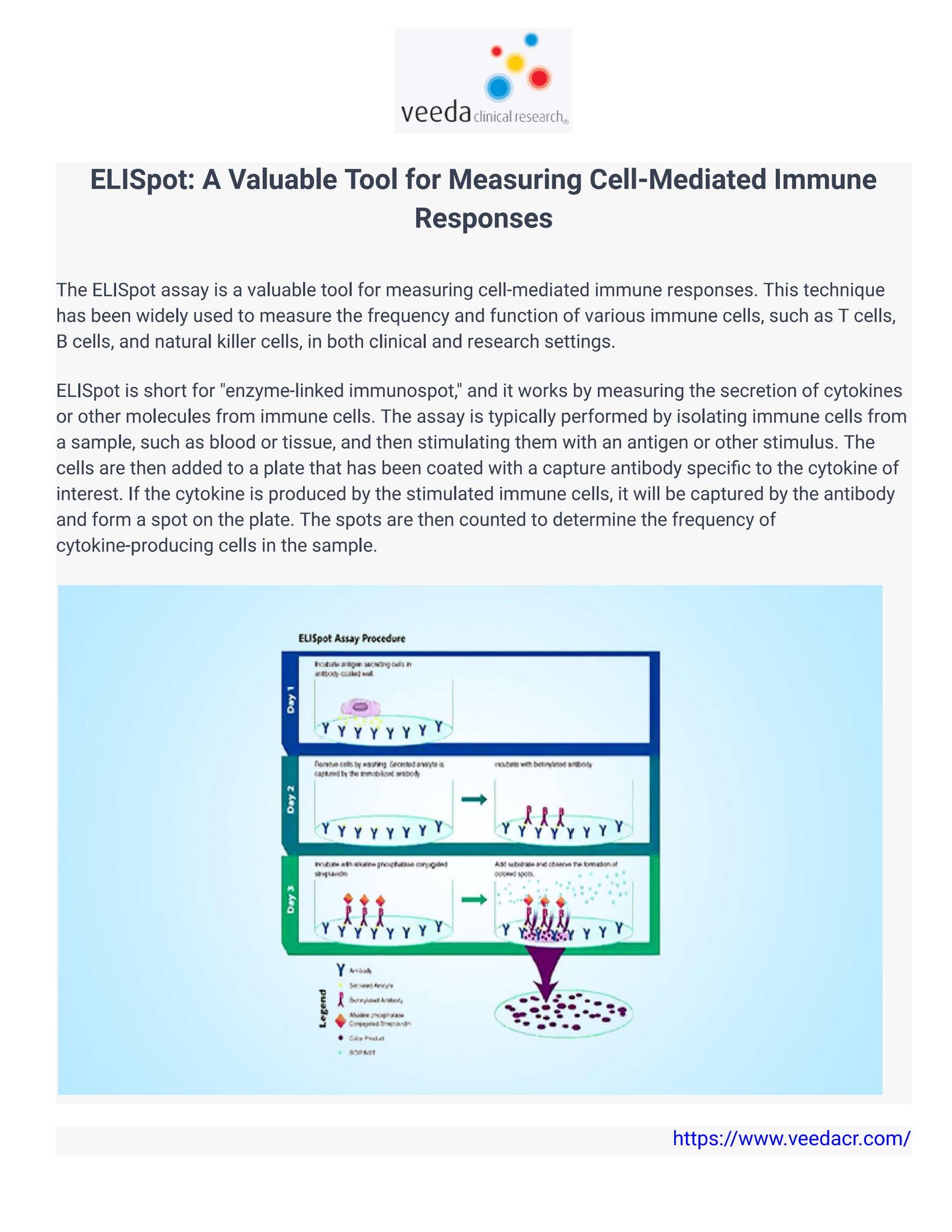 ELISpot: A Valuable Tool for Measuring Cell-Mediated Immune Responses ...