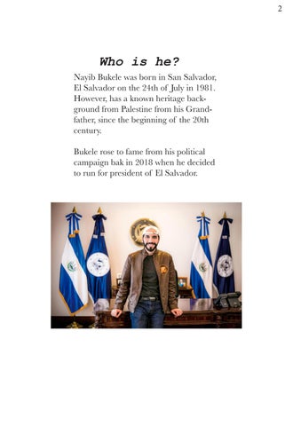 Nayib Bukele 第 3 页
