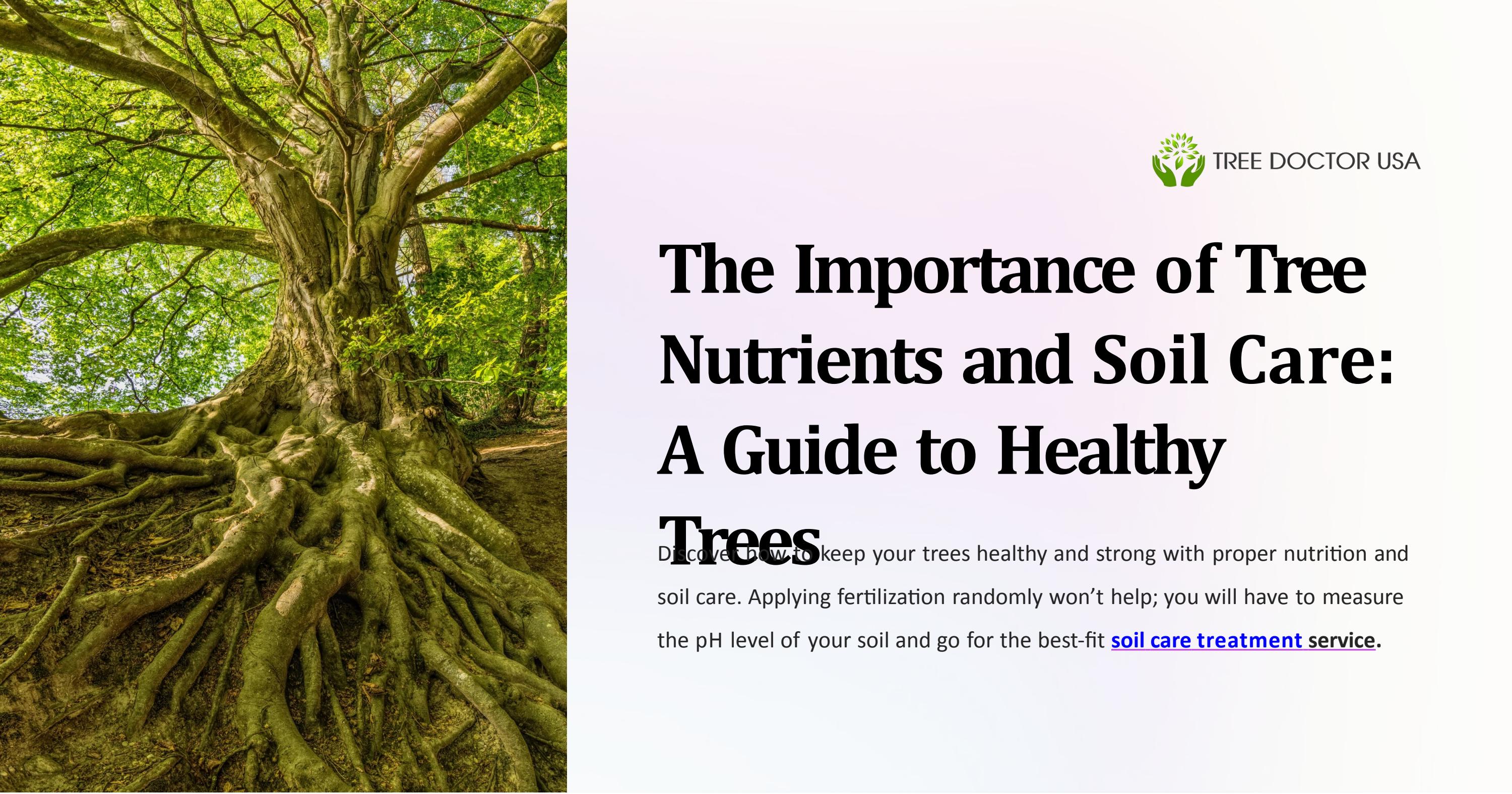The Importance of Tree Nutrients and Soil Care A Guide to Healthy Trees