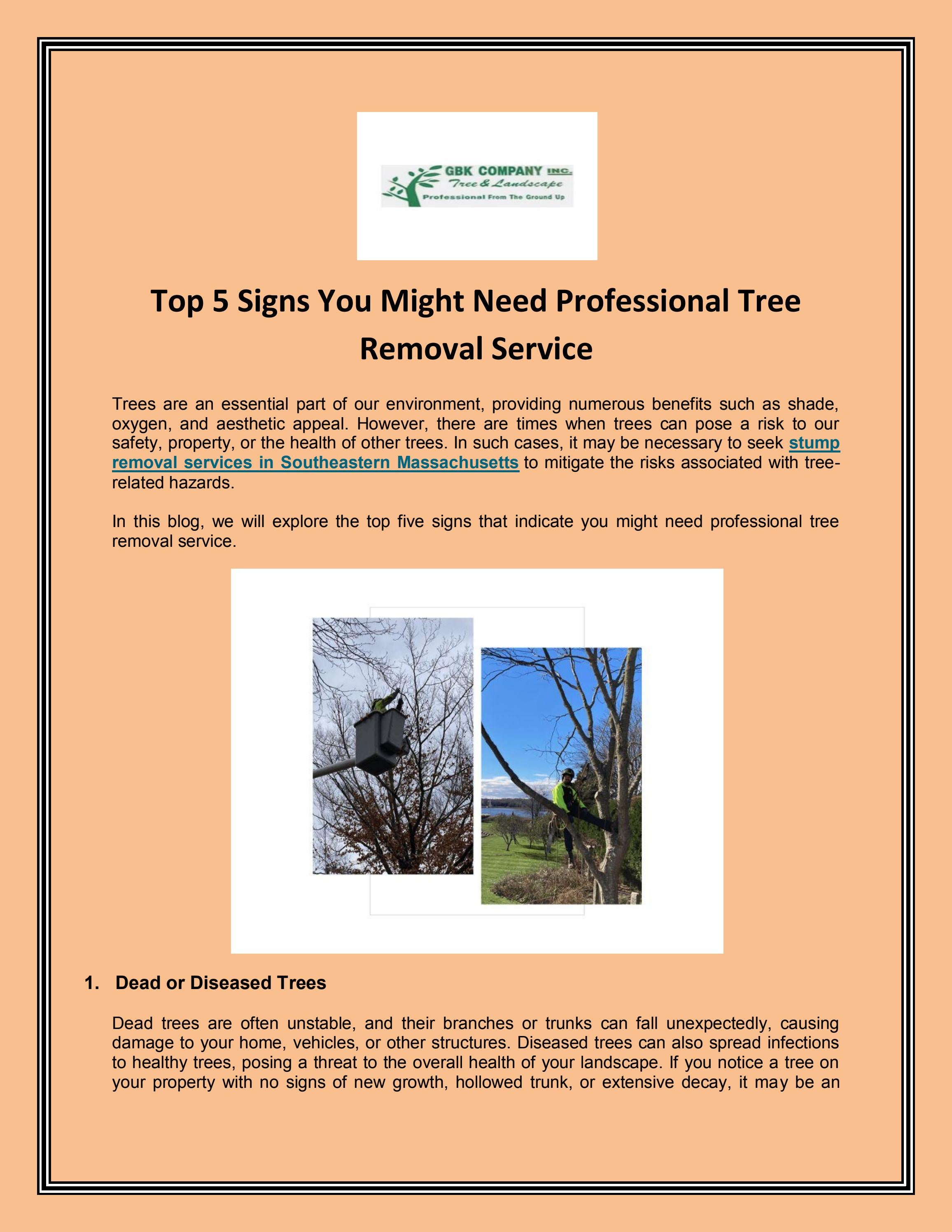 Best Senior Discounts In Rolla For Tree Removal - hr5bl7q