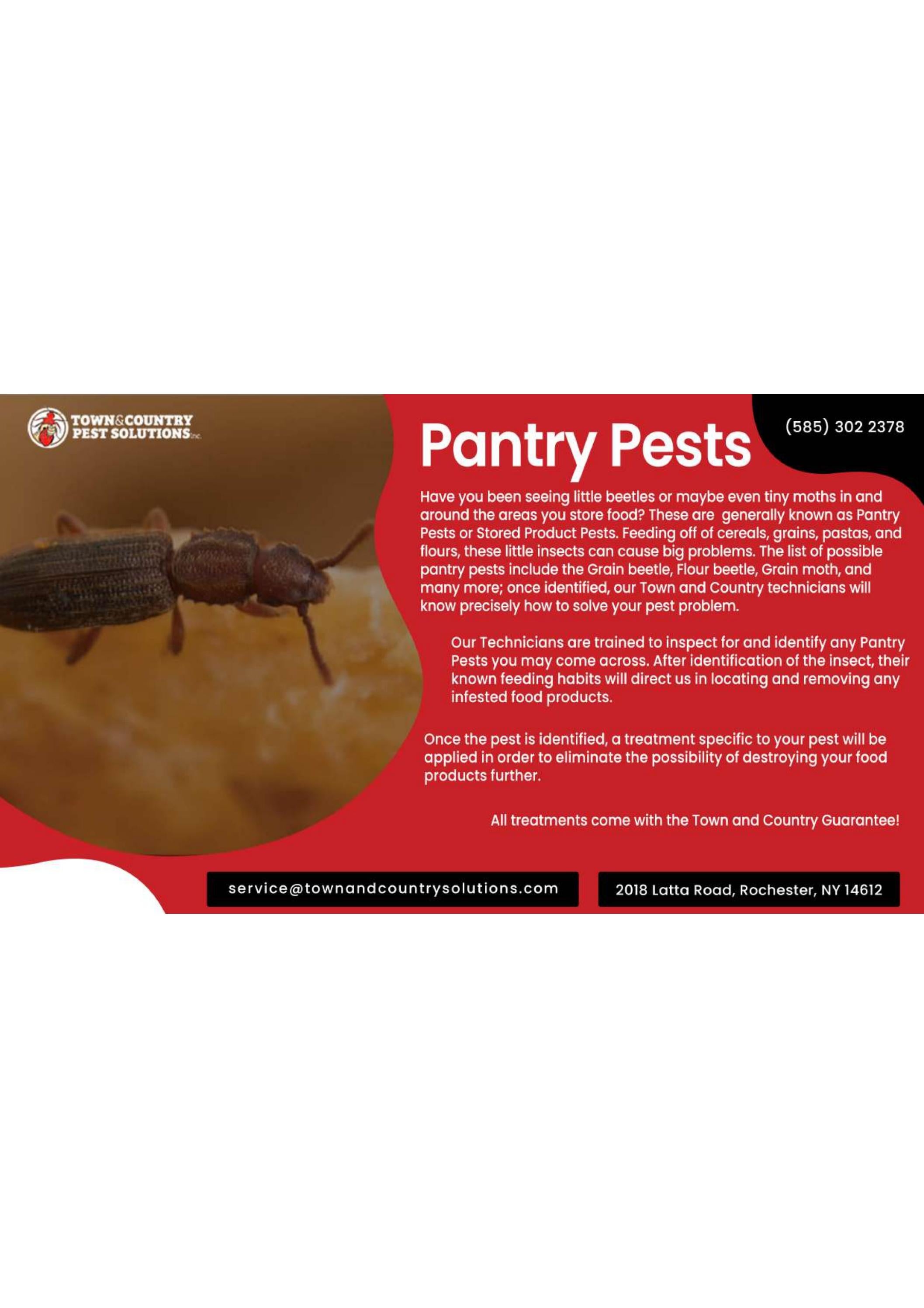 Syracuse commercial pest control Syracuse exterminator by