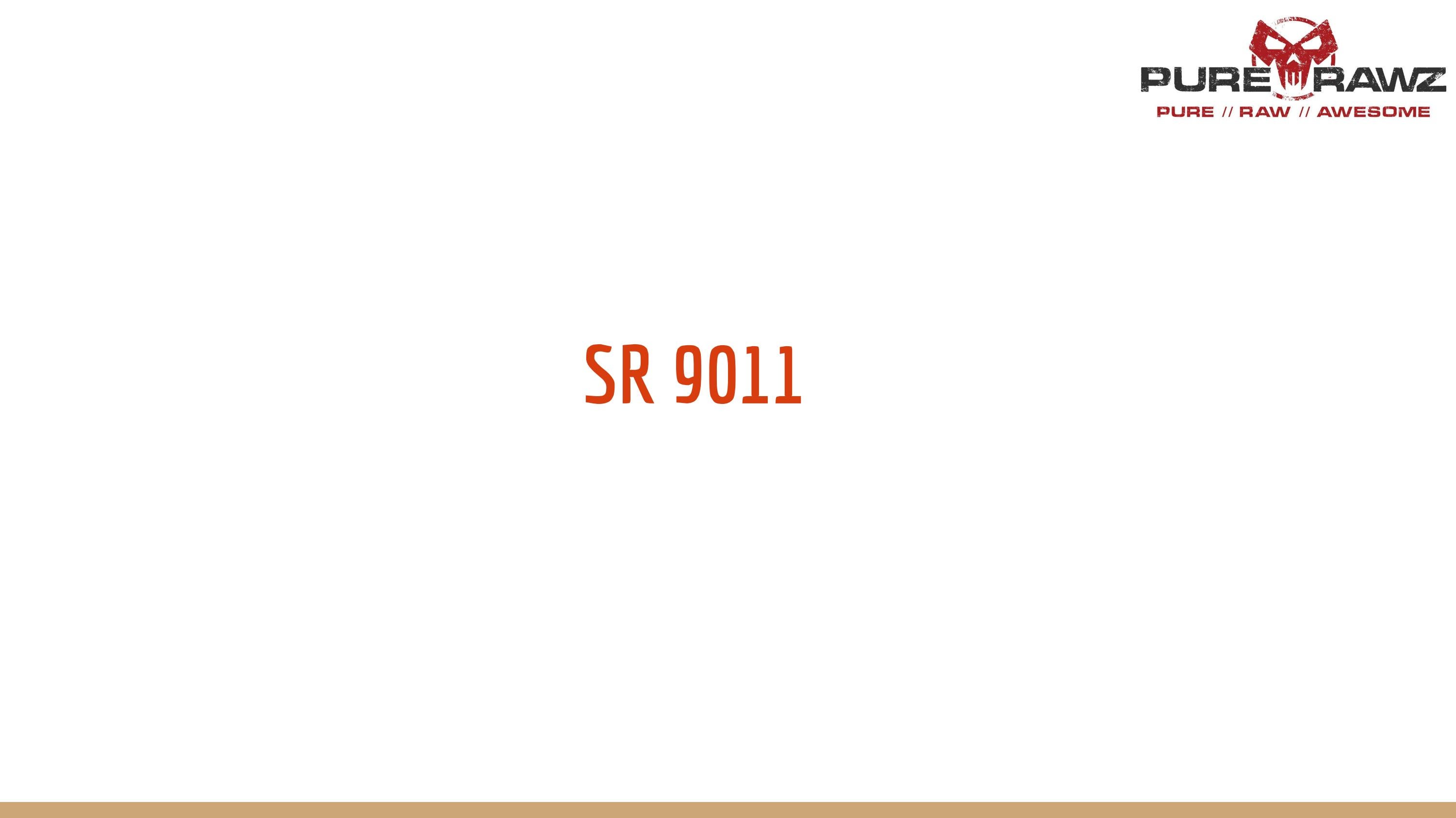SR 9011 by purerawz123 - Issuu