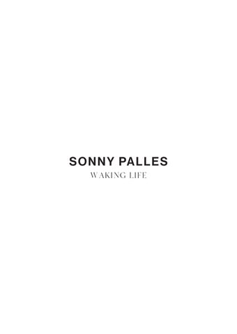 Waking Life | Sonny Palles 第 3 页