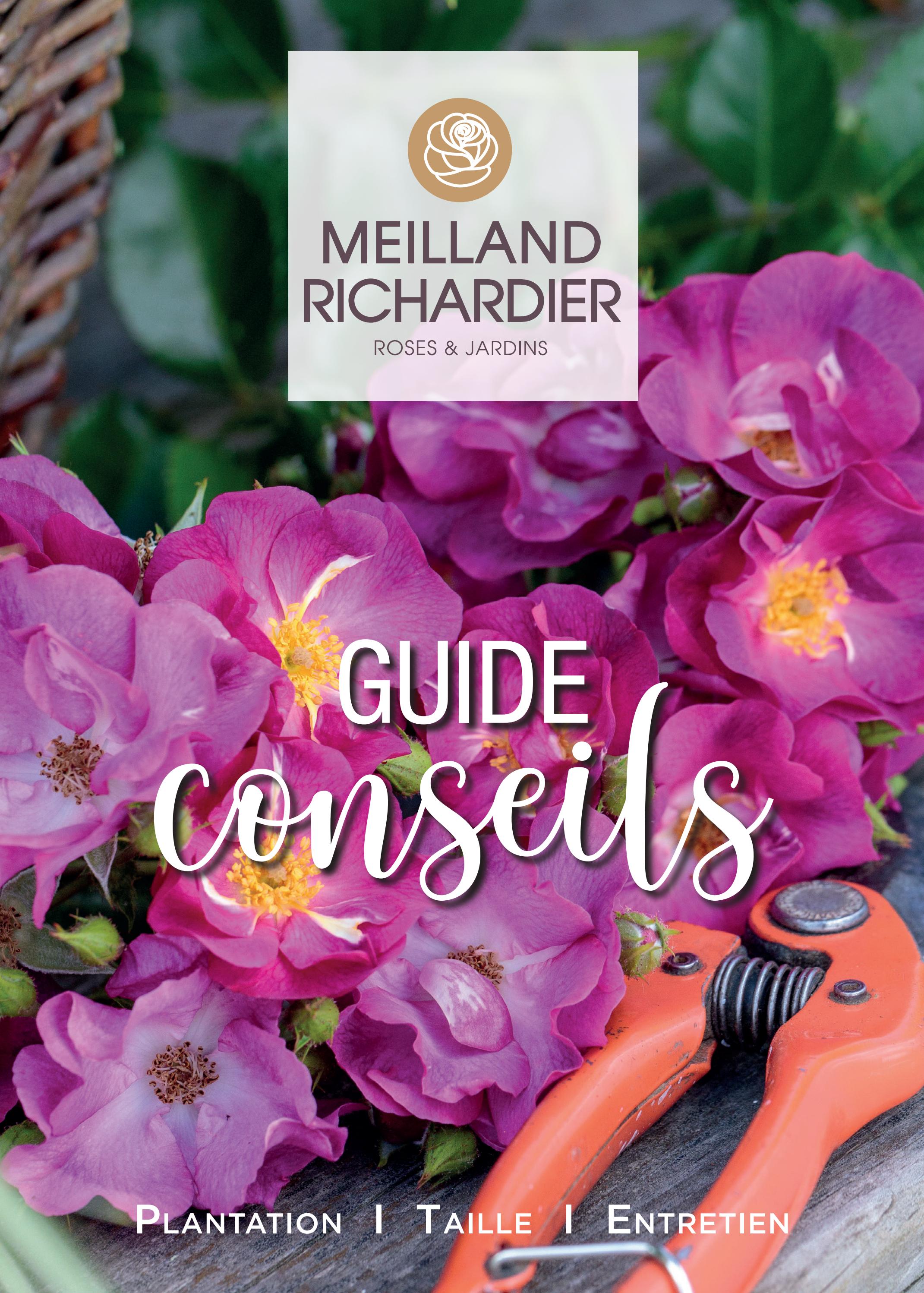 Meilland Richardier Catalogue 2022