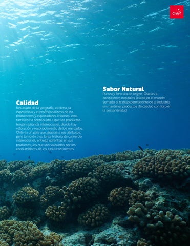 Dossier Seafood Español 第 7 页