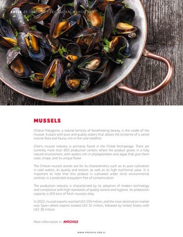 Dossier Seafood Inglés 第 12 页