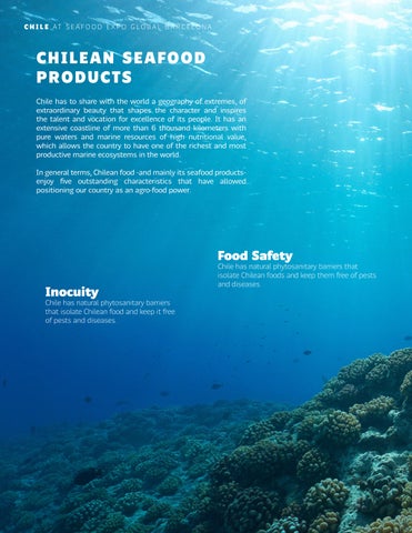 Dossier Seafood Inglés 第 6 页