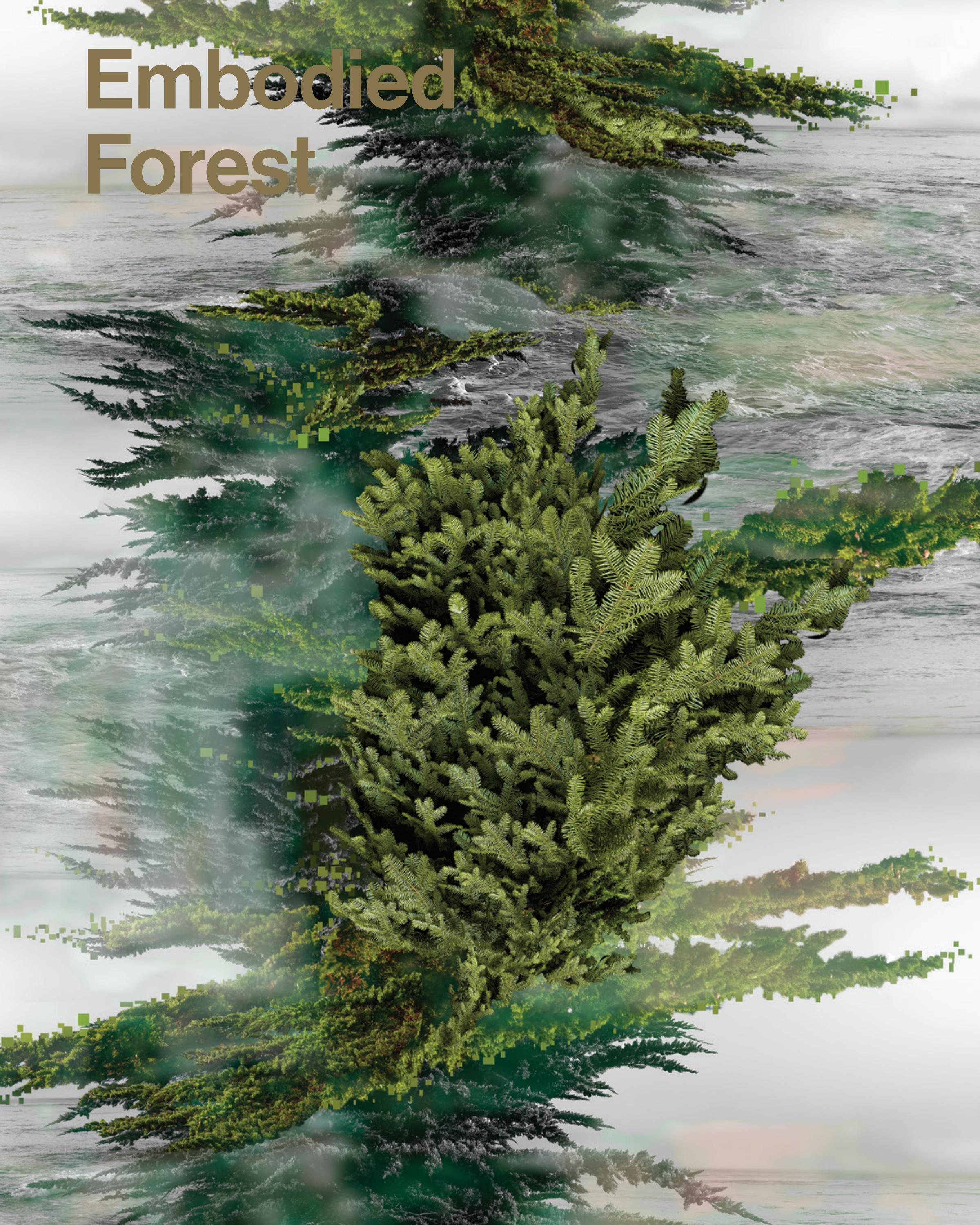 Embodied Forest By Ecoartspace Issuu
