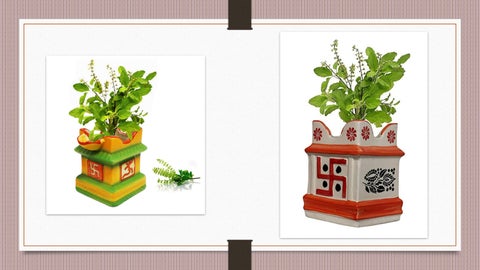 Tulsi stands 第 18 页