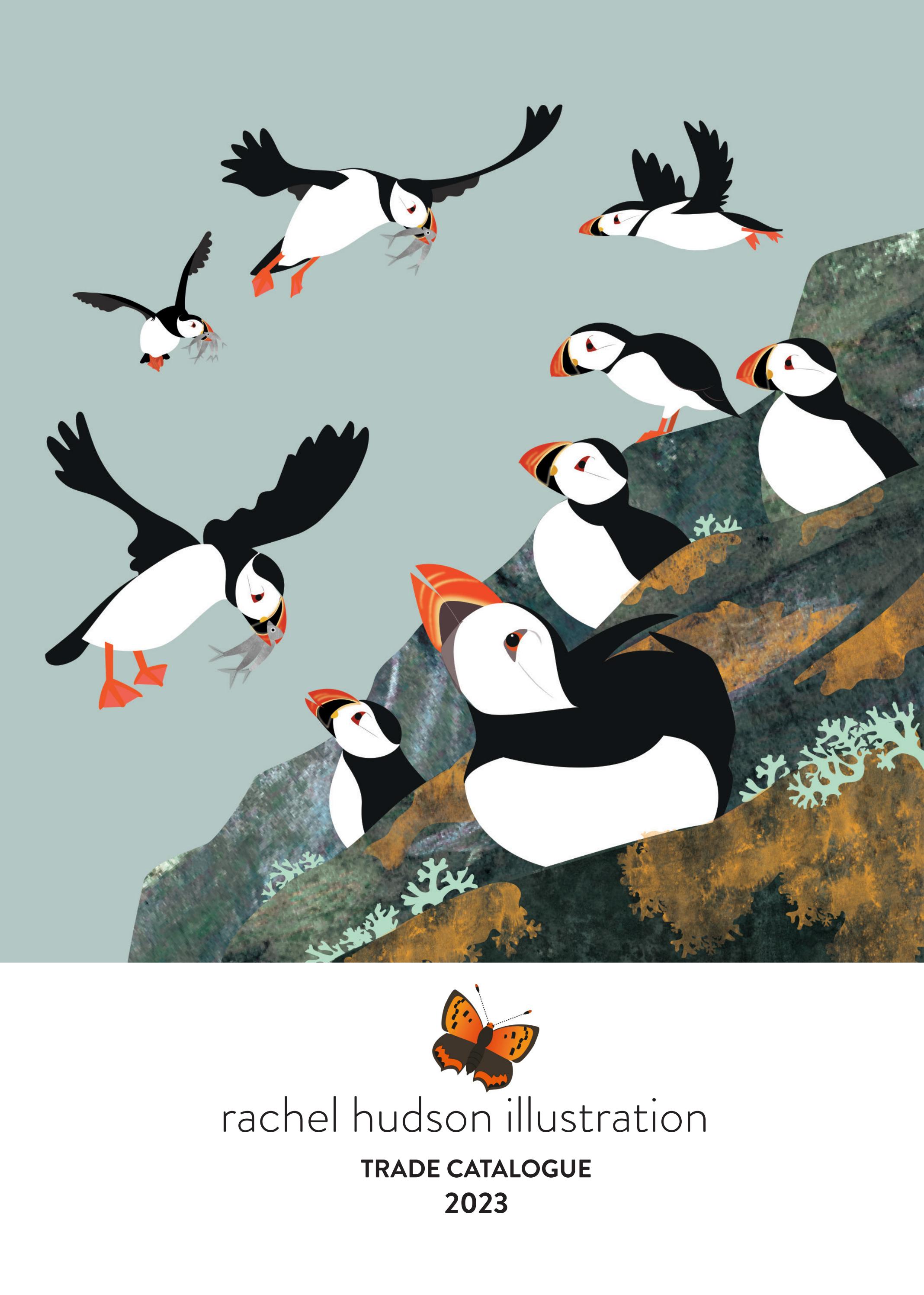 Rachel Hudson Illustration Trade Catalogue 2023 by ...