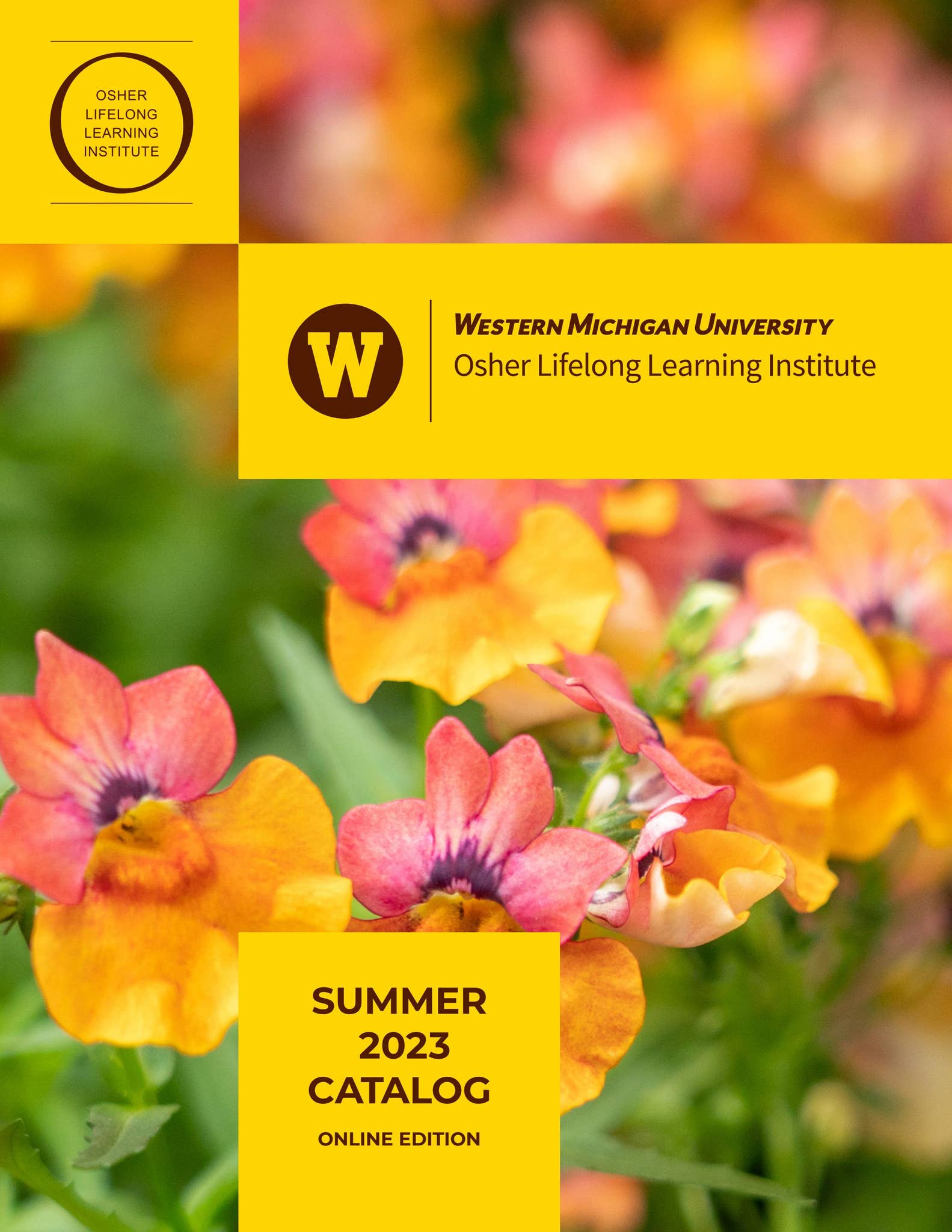 Summer 2023 OLLI catalog by Western Michigan University Issuu