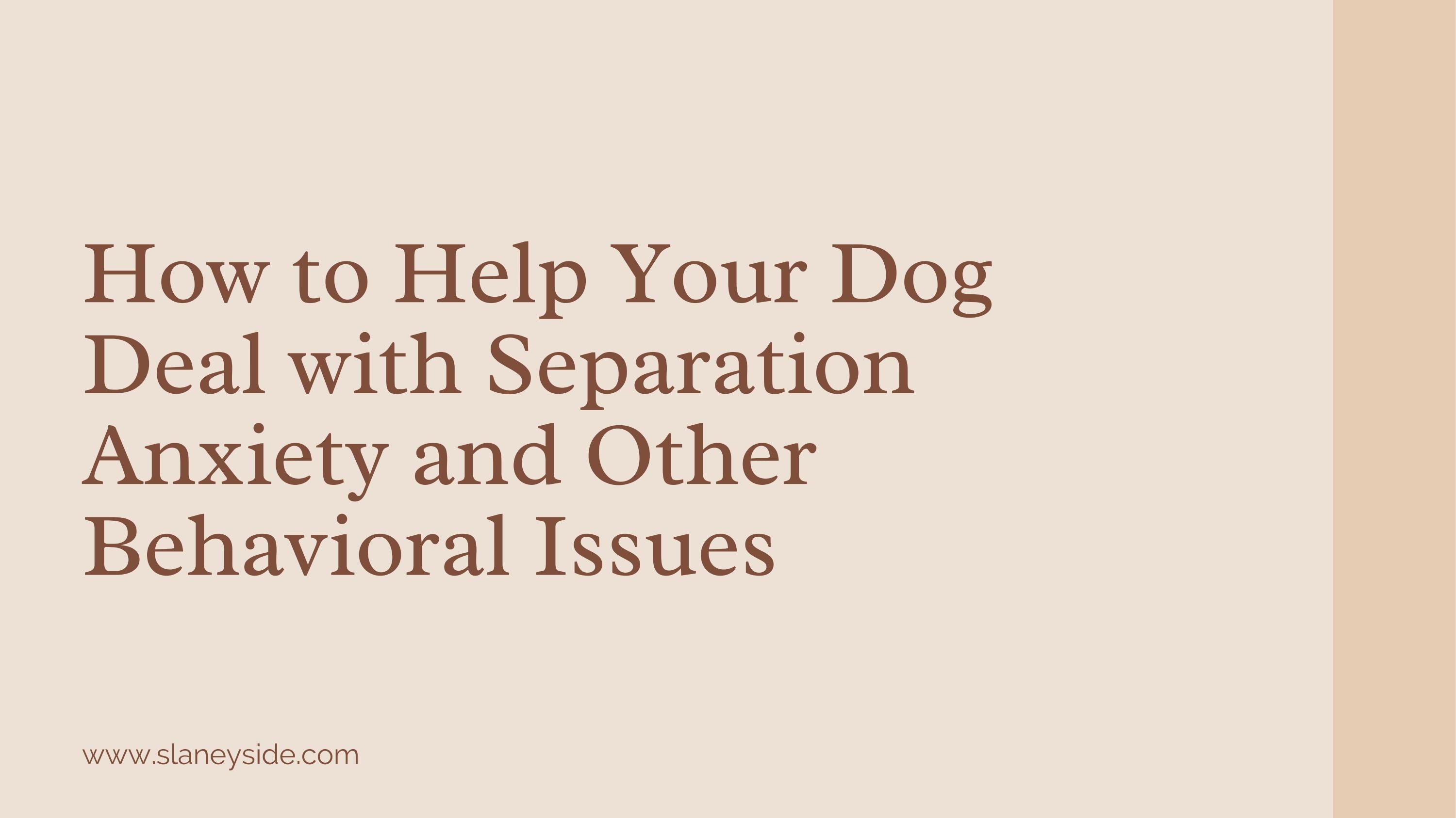 How to Help Your Dog Deal with Separation Anxiety and Other Behavioral