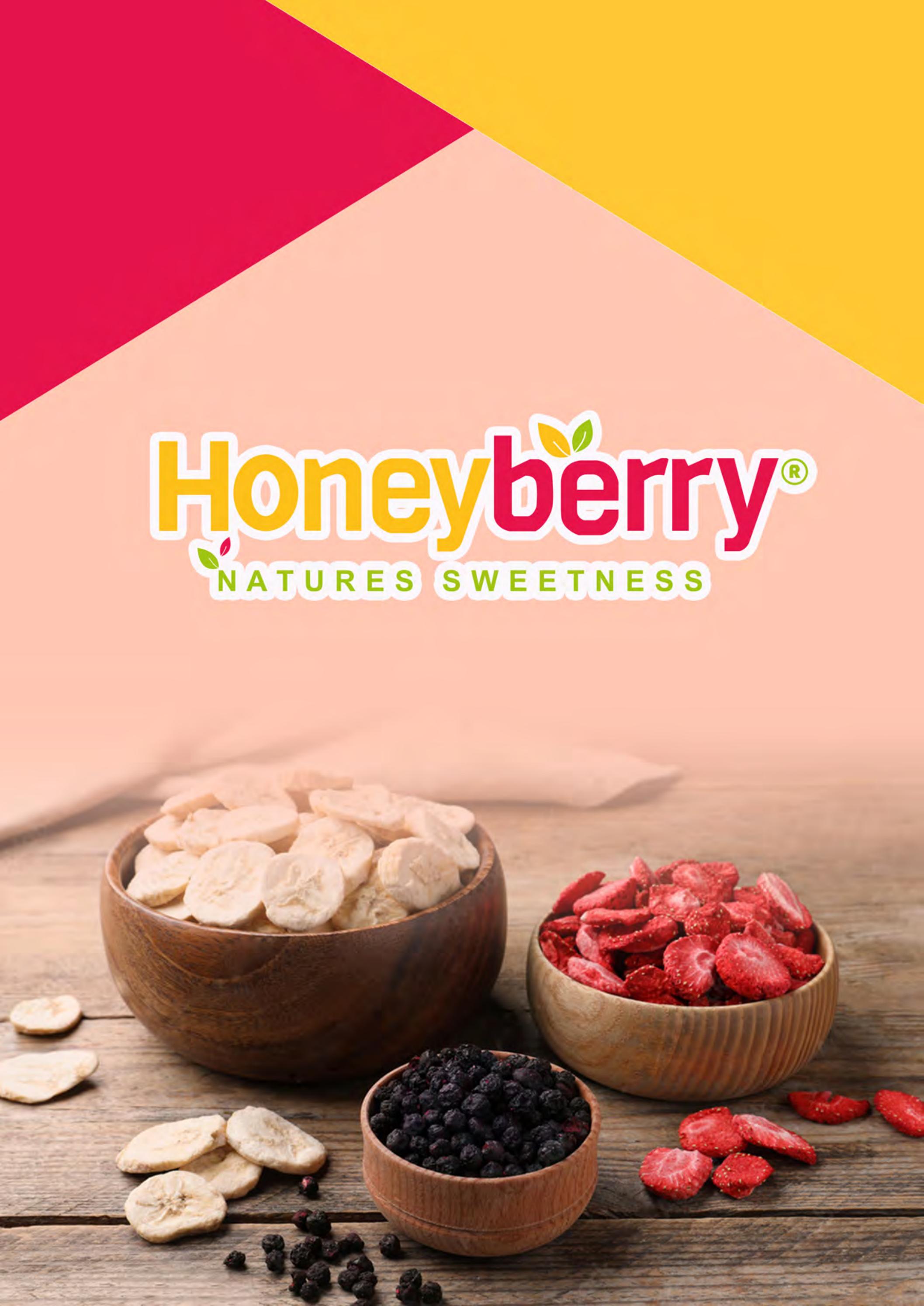 Honeyberry Brochure by Honeyberry International Issuu