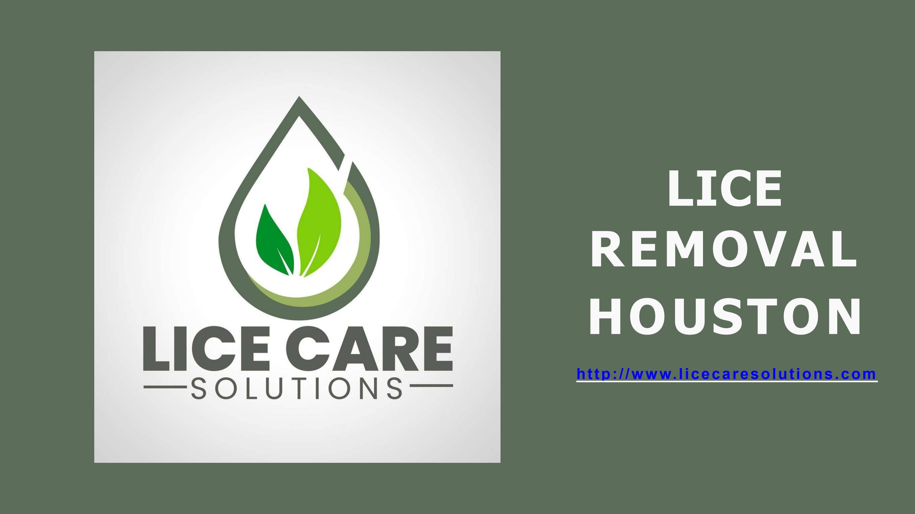 Lice Removal Houston by Lice Care Solutions Issuu
