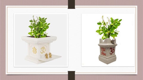 Tulsi stands 第 17 页