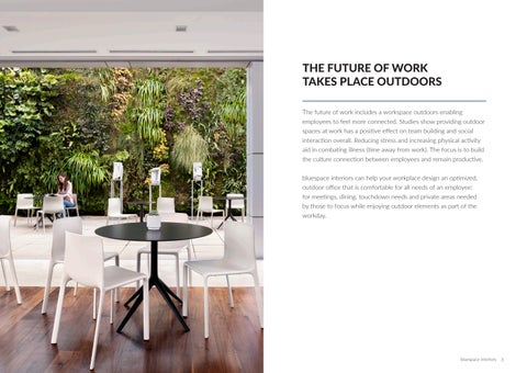 bluespace interiors bluespace Seattle - The 户外 家具 型录 第 2 页