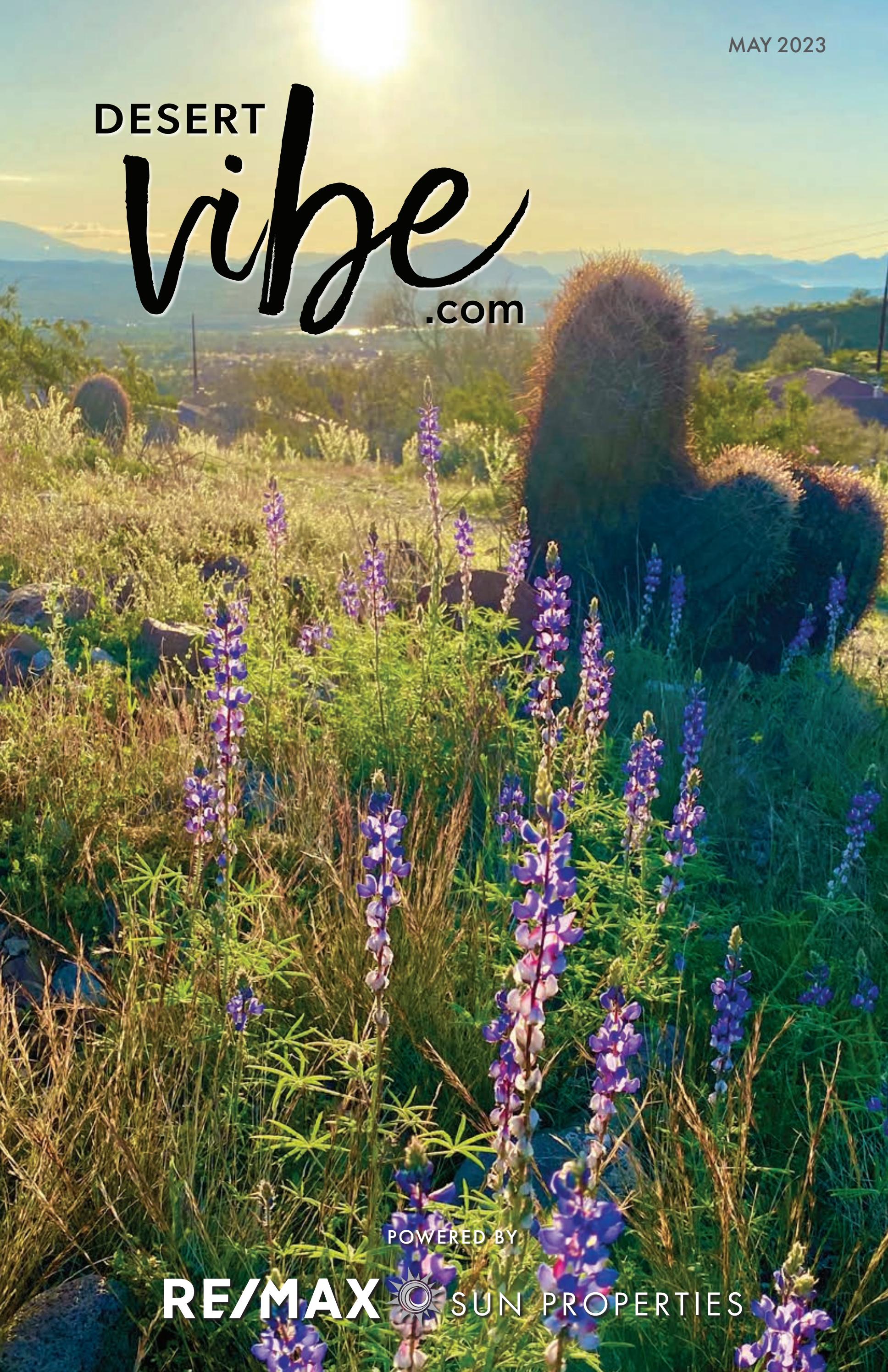 RE/MAX Desert Vibe May 2023 by REMAX Sun Properties Issuu