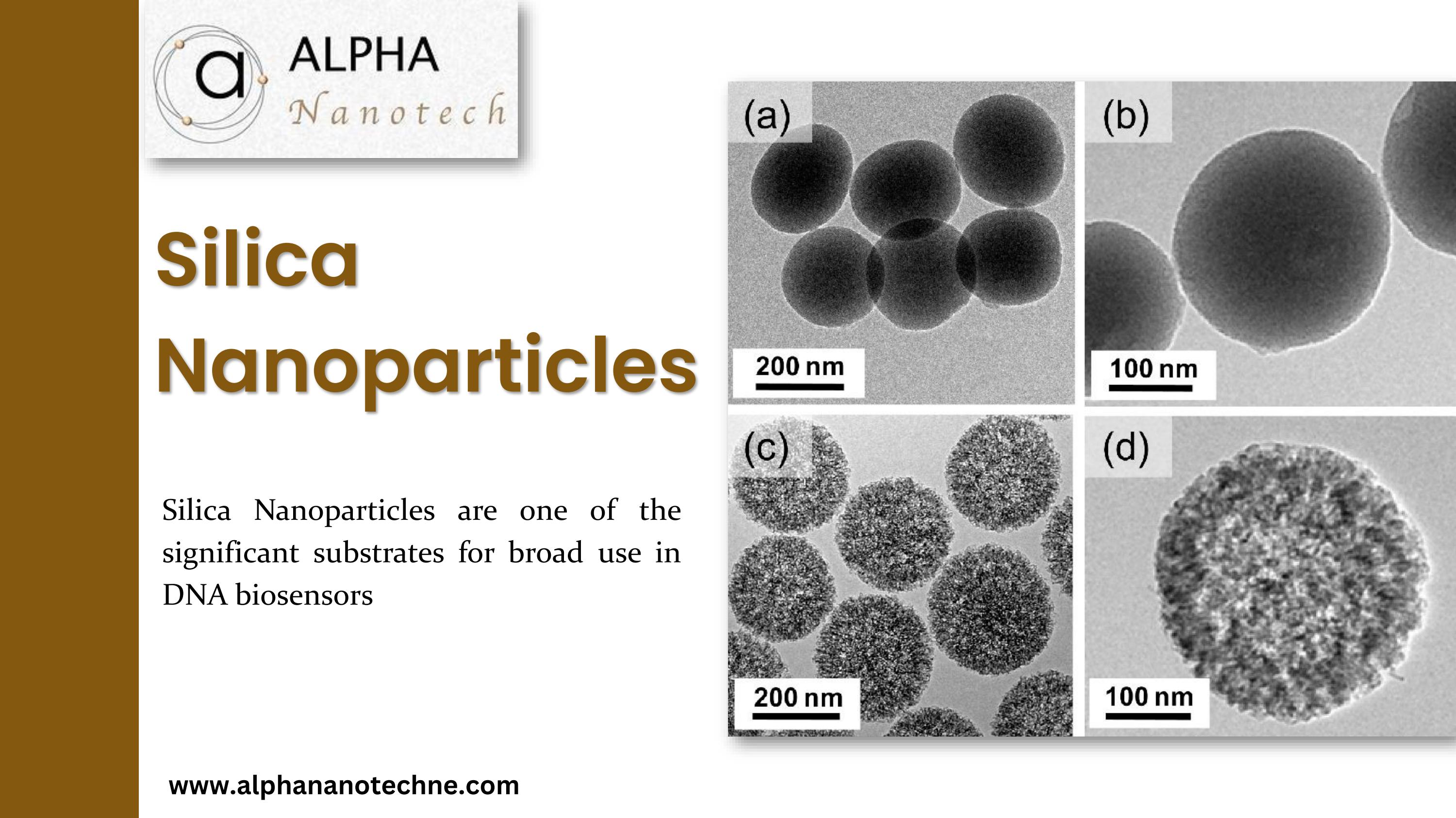 Silica Nanoparticles Types : Raman and IR investigation of silica ...