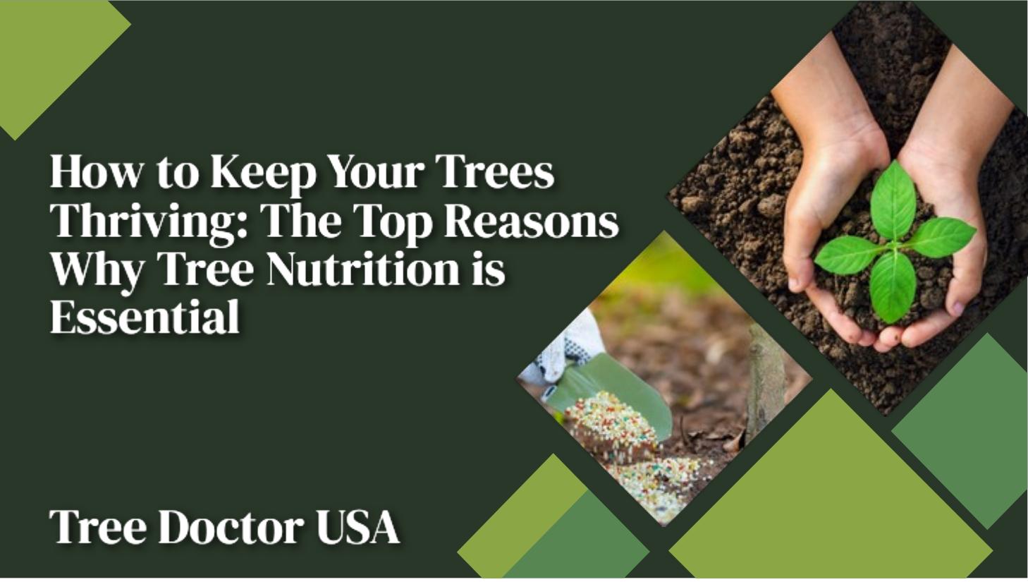 how to keep your trees thriving the top reasons why tree nutrition is