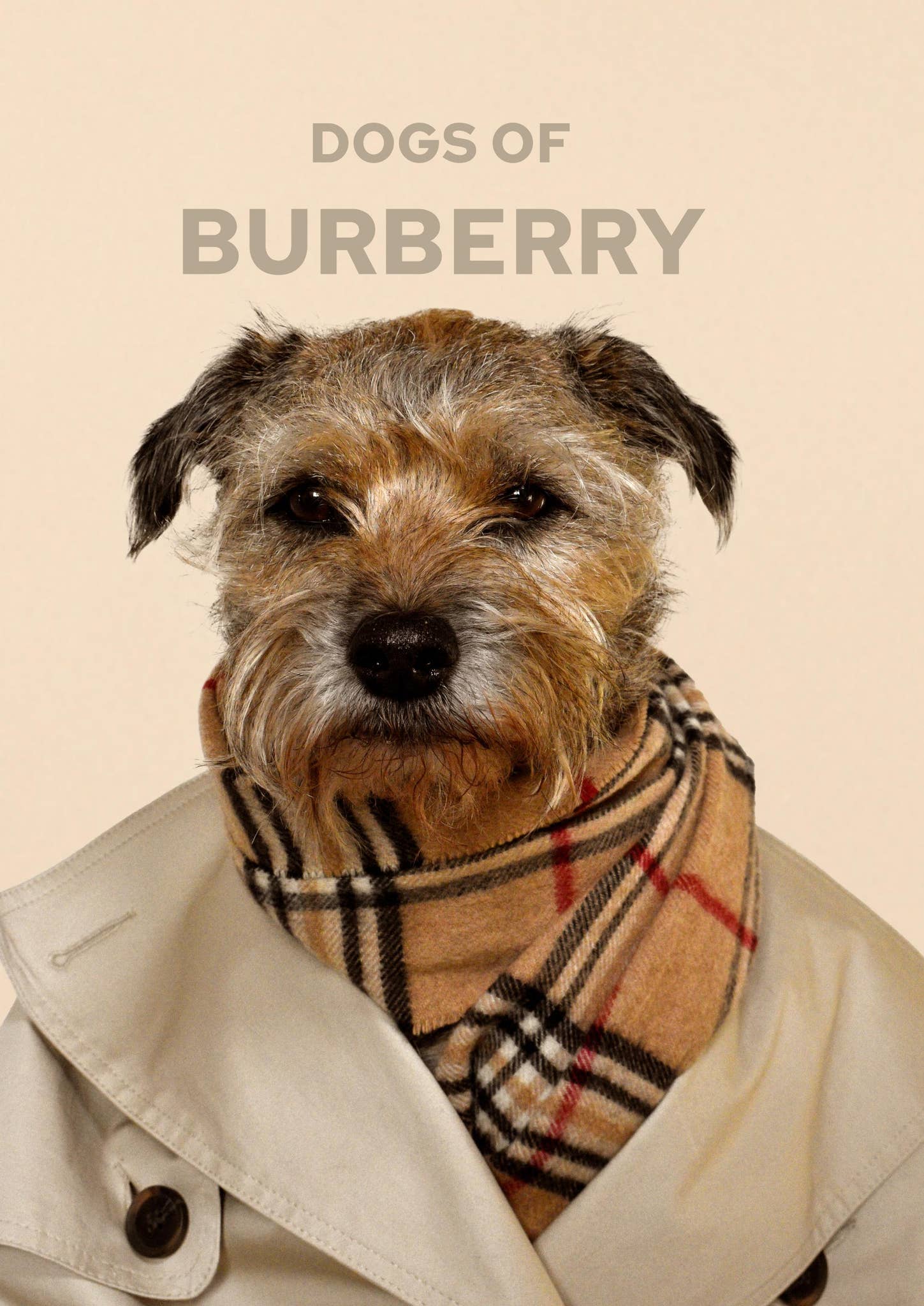 ブローチ BURBERRY　犬　ダルメシアン　バーバリー　ドッグ　b96 Dogs Of Burberry Lookbook by soline fish - Issuu