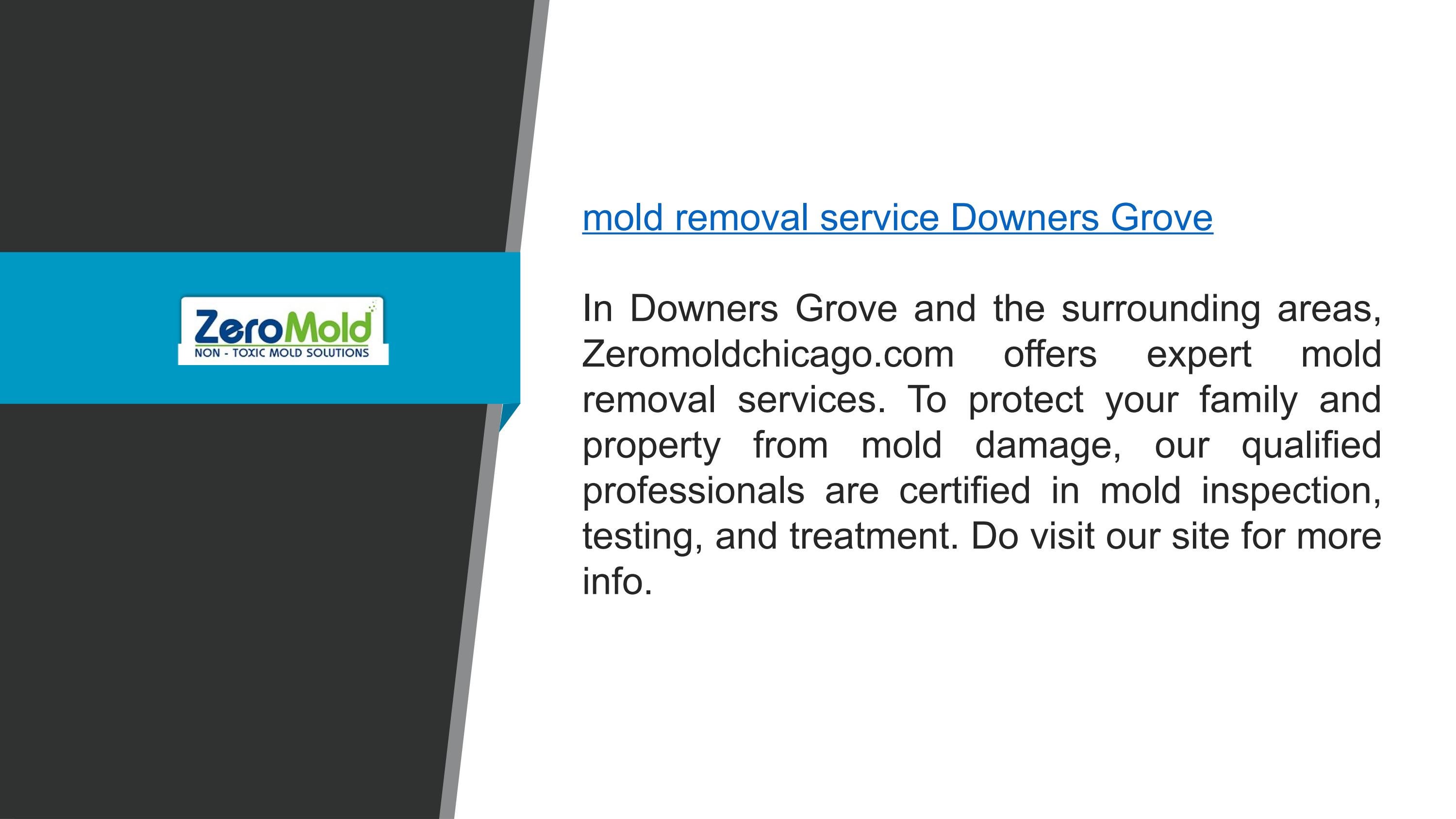 Mold Removal Service Downers Grove by Zeromold