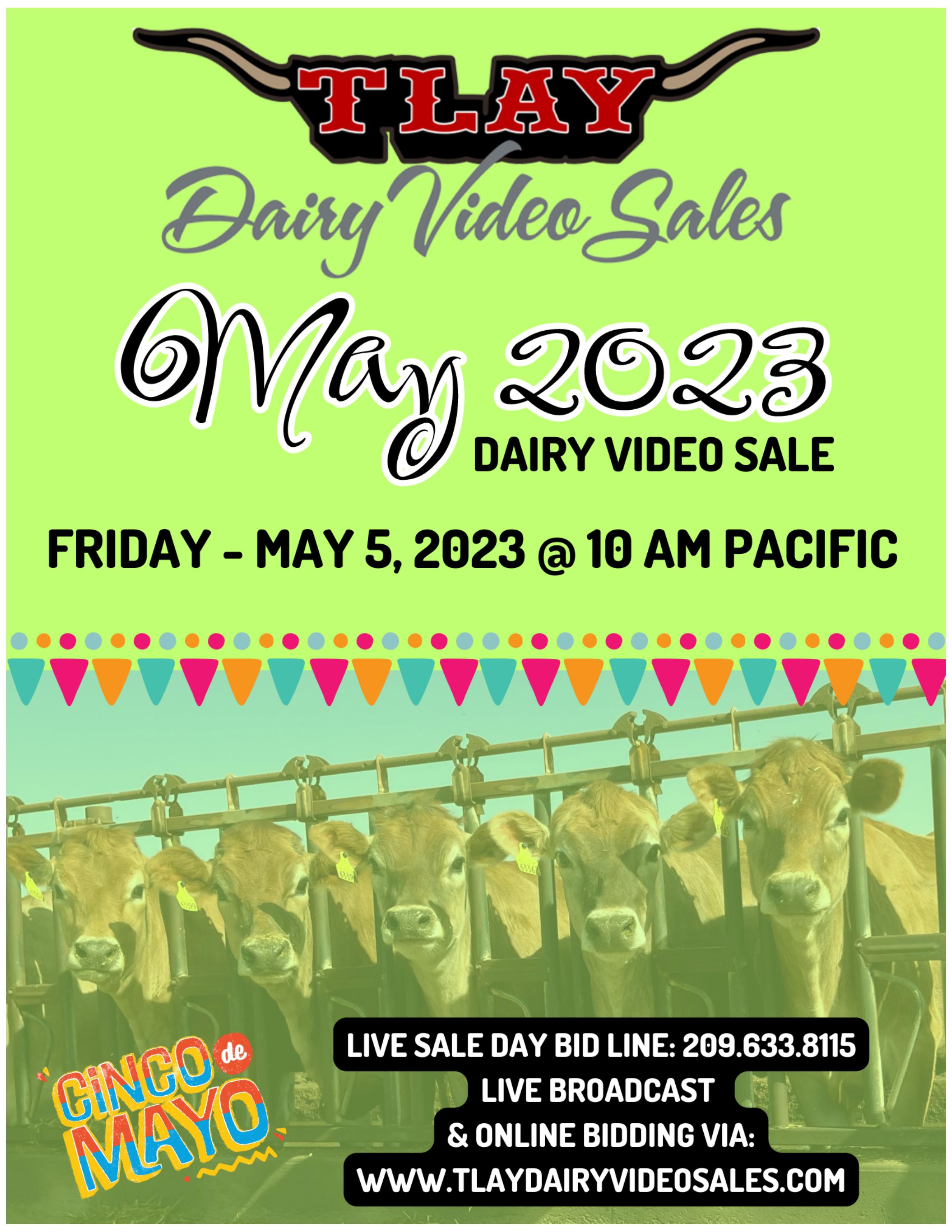 MAY 2023 DVS CATALOG by TURLOCK LIVESTOCK AUCTION YARD - Issuu