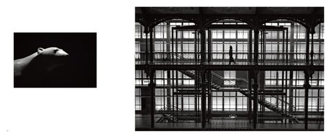 Appunti di vista, Lorenzo Einaudi 25-57 第 3 页