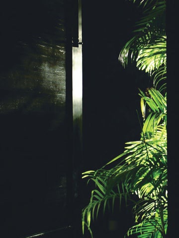 Paranoia, Laura Ortego 41-80 第 12 页