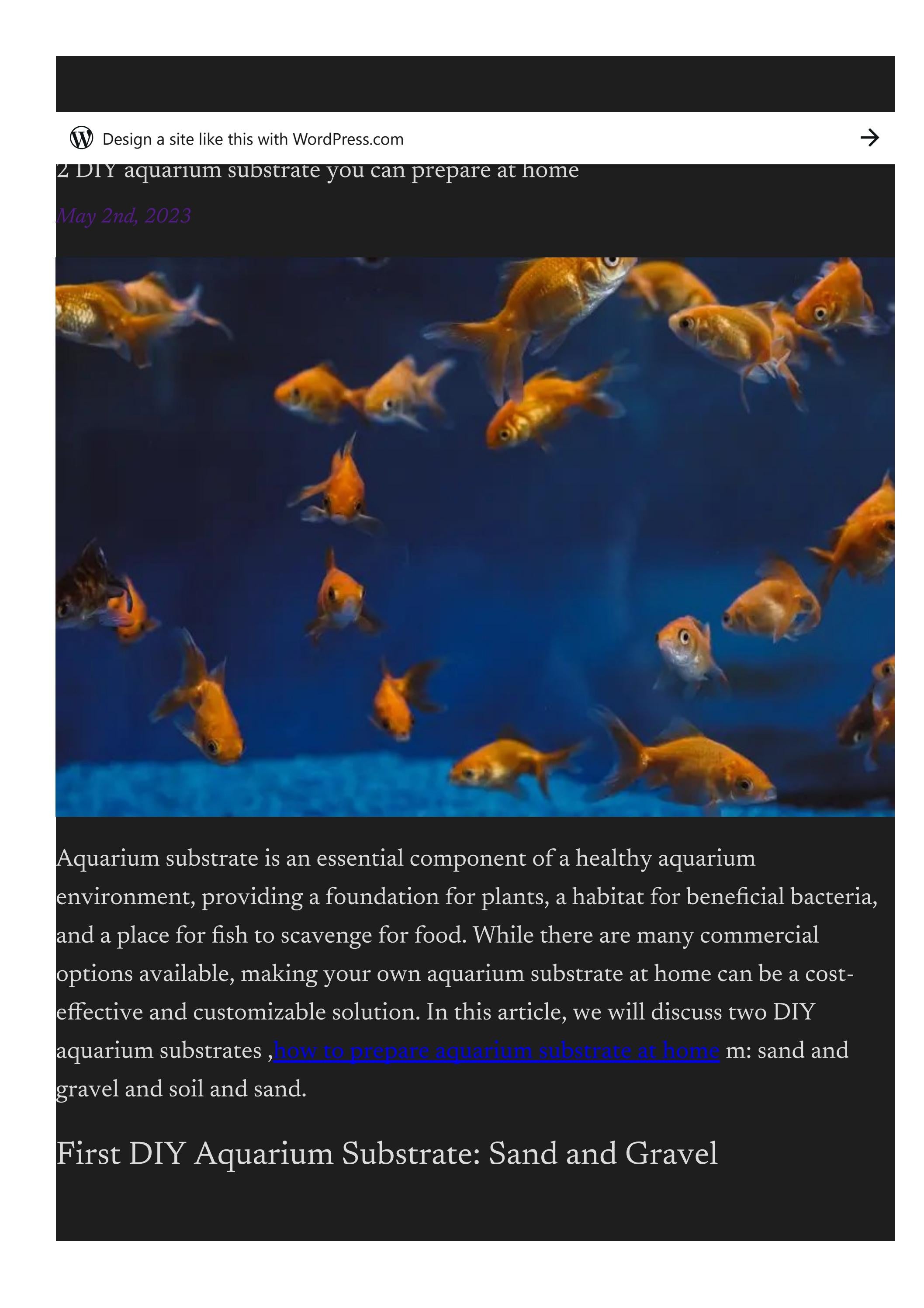 2 DIY aquarium substrate you can prepare at home by carolyn renner Issuu