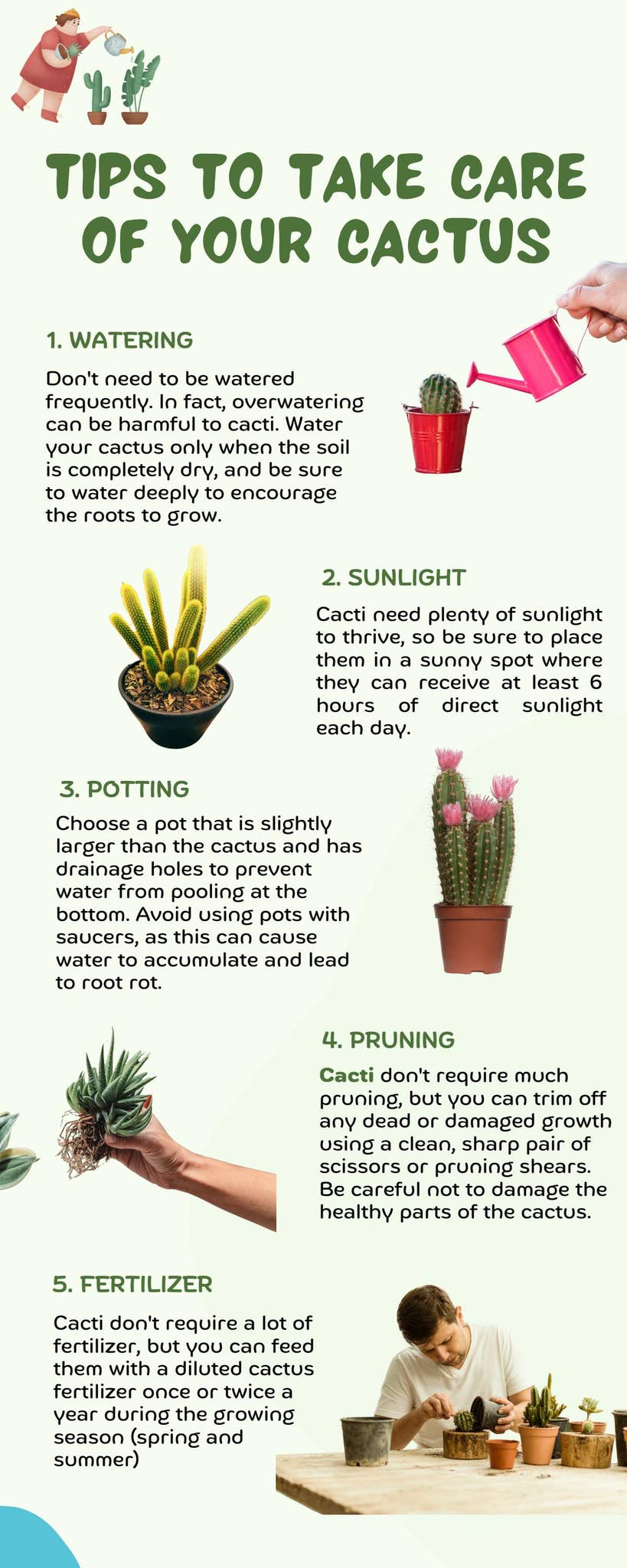 Tips To Taking Care of your cactus by planetdesert - Issuu