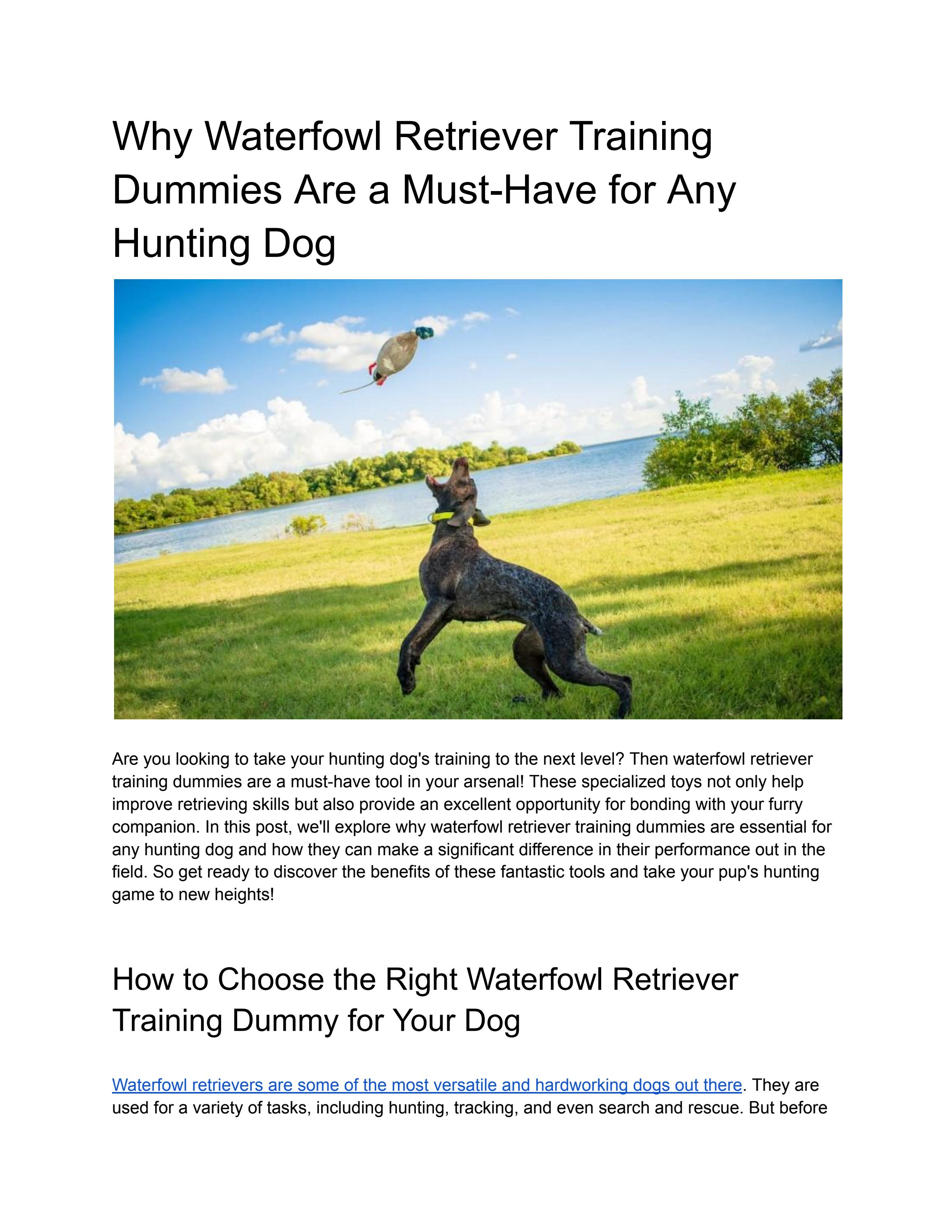 Why Waterfowl Retriever Training Dummies Are a MustHave for Any