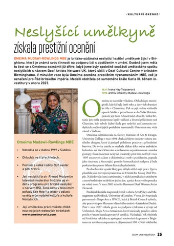 Page 25