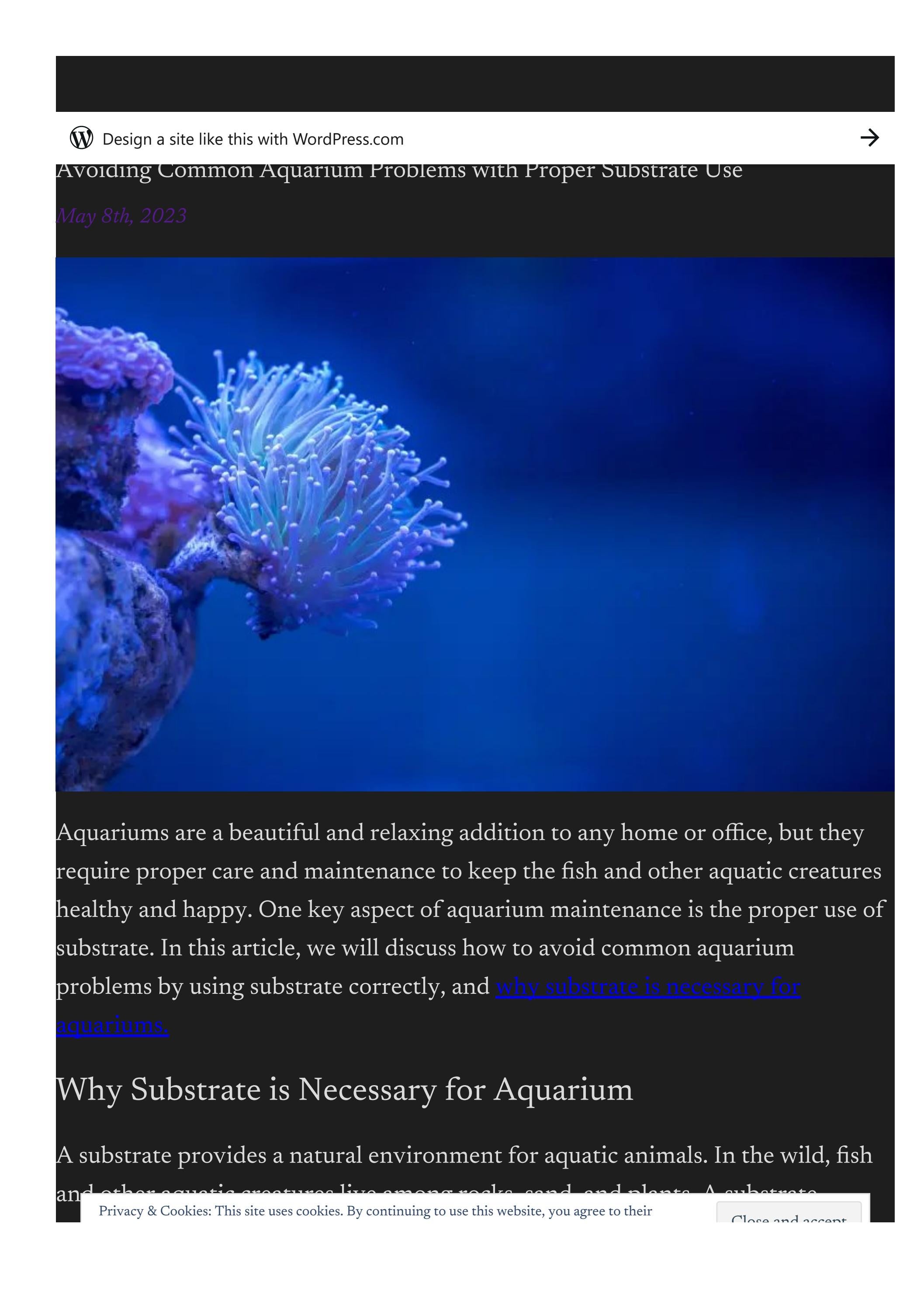 Avoiding Common Aquarium Problems with Proper Substrate Use by carolyn