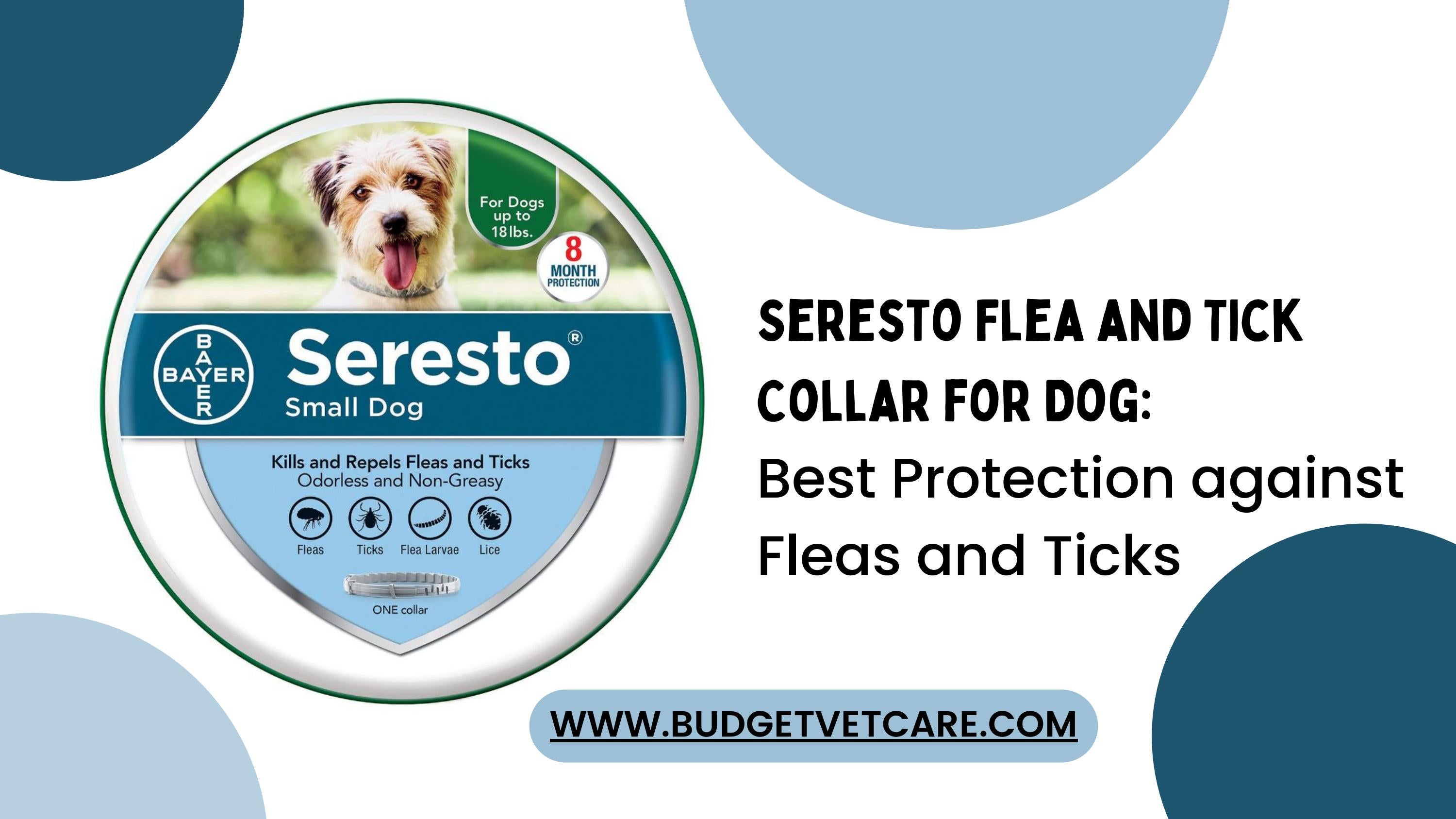 Seresto Flea and Tick Collar for Dog Best Protection against Fleas and