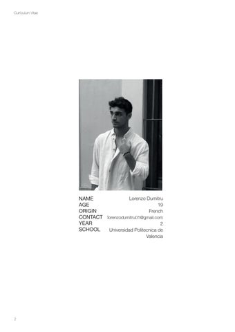 Portfolio Lorenzo Dumitru 第 2 页