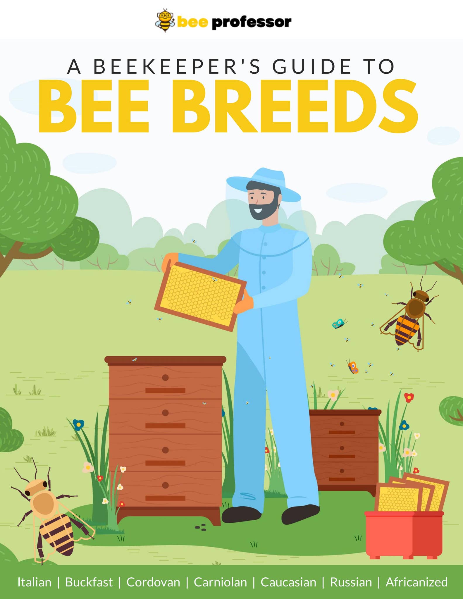 Types Of Honey Bee Breeds An Illustrated Guide by Bee Professor Issuu