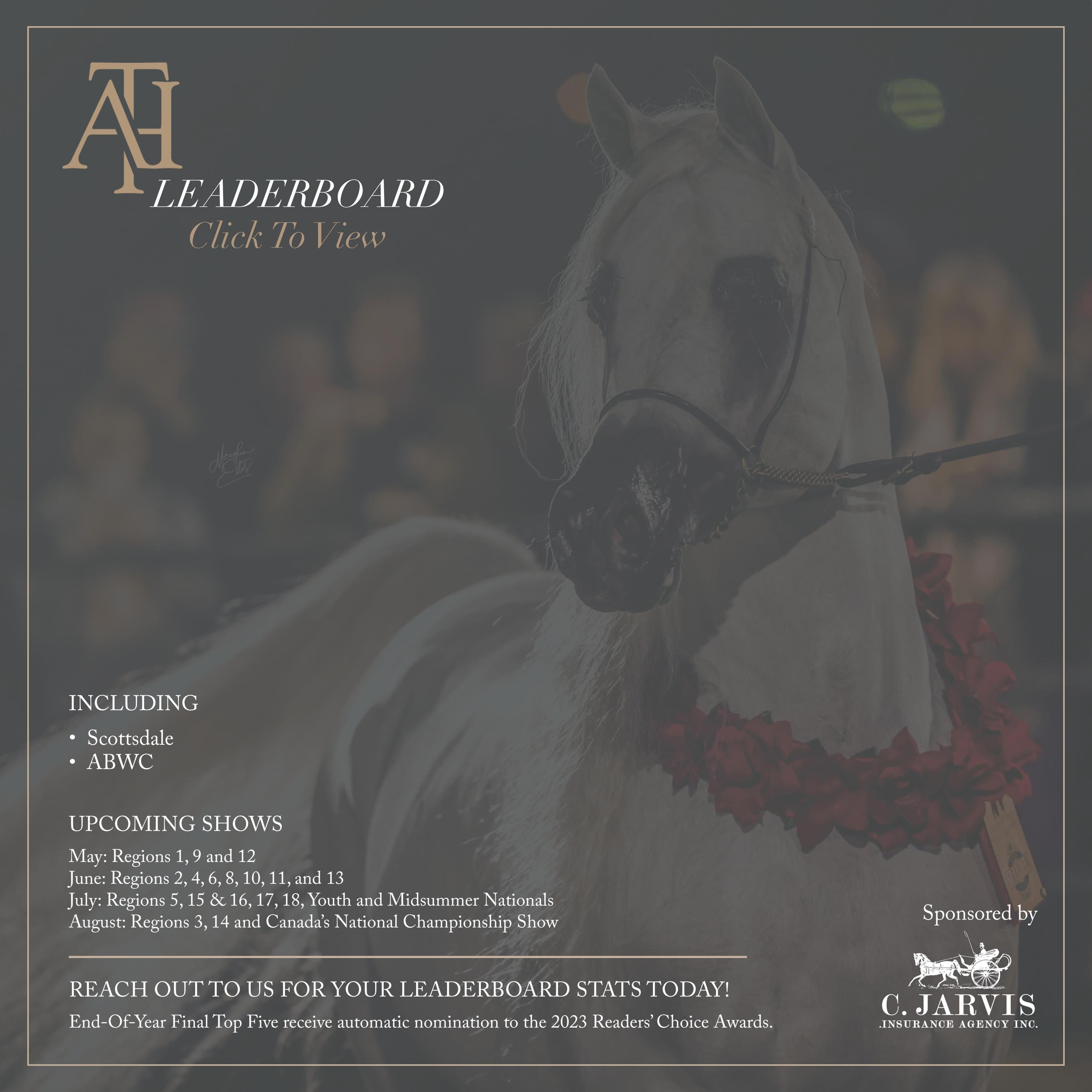 2023 AHT's Leaderboard by Arabian Horse Times Issuu