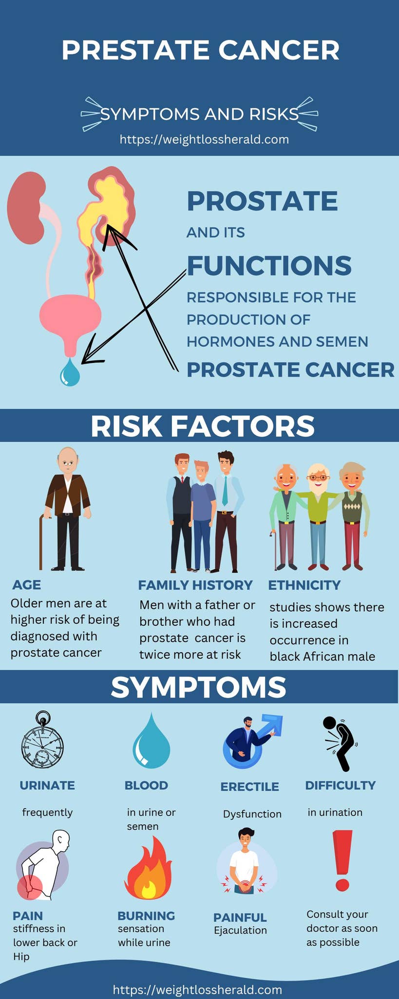 Understanding Prostate Cancer Symptoms and Risk Factors by Everyday ...