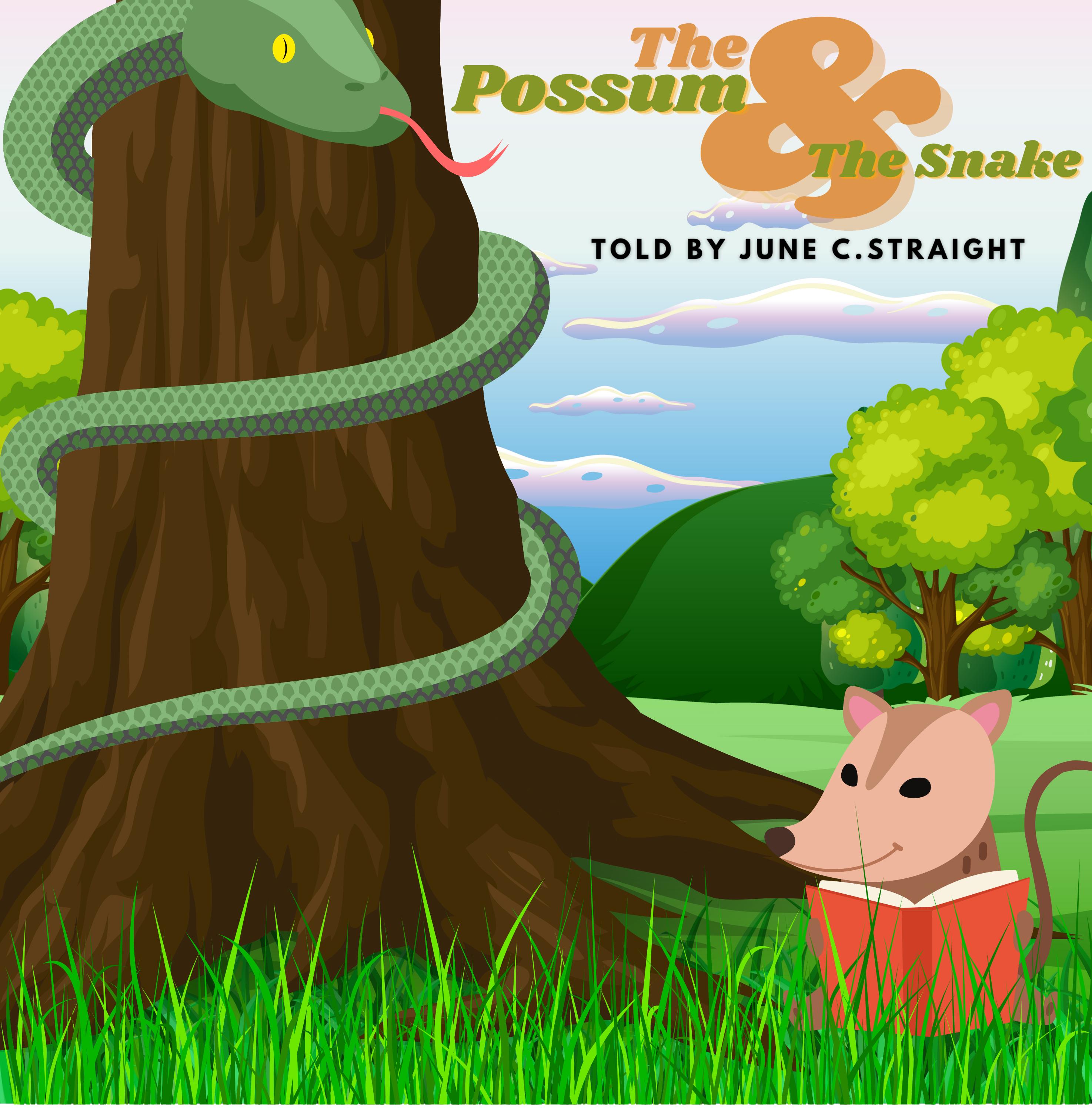 Unbelievable! This Is What Happens When A Possum Meets A Snake - gzpafma