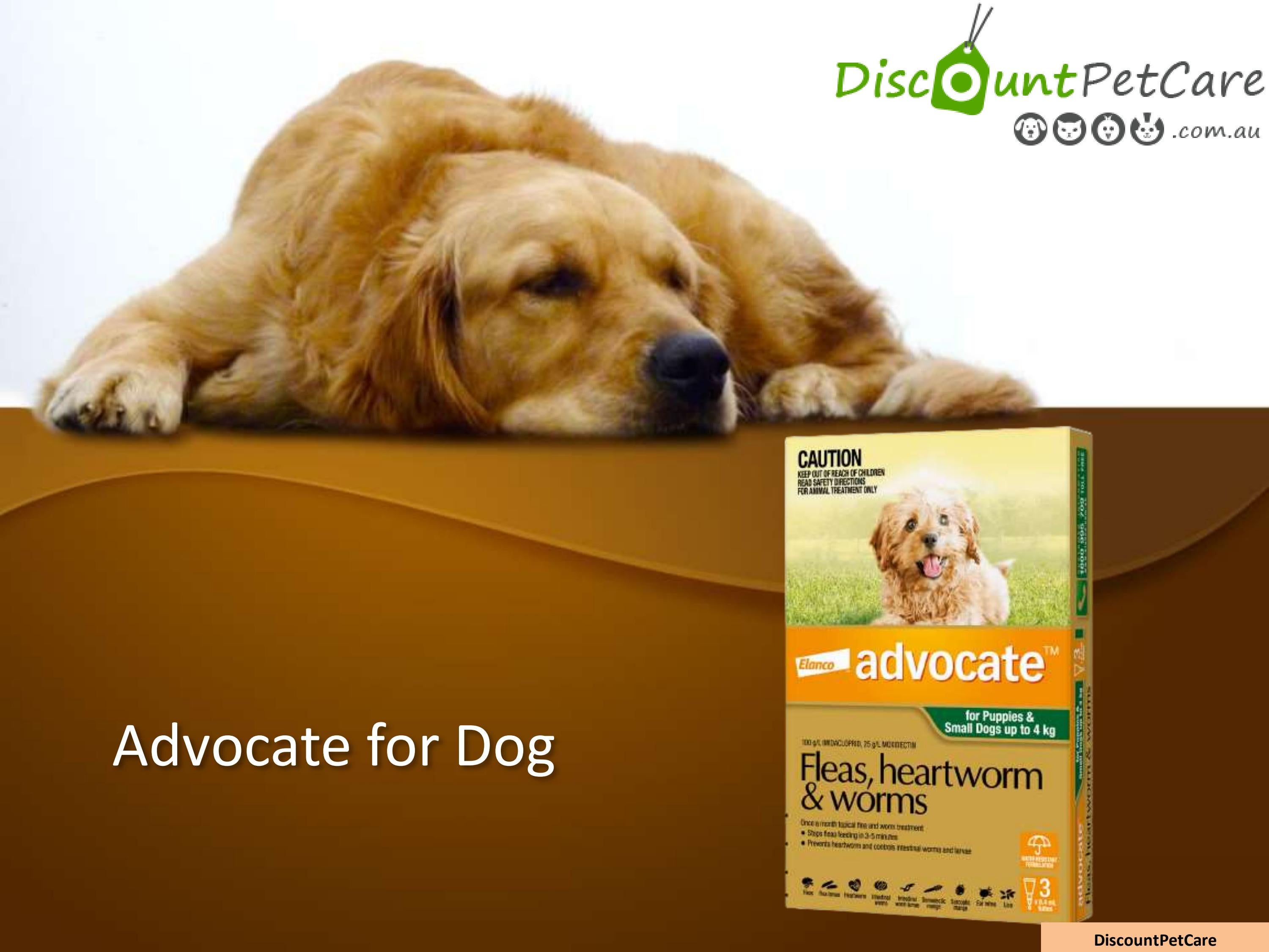 Advocate for DogsAdvocate Flea Treatment For Dogs Cheap Advocate Dog