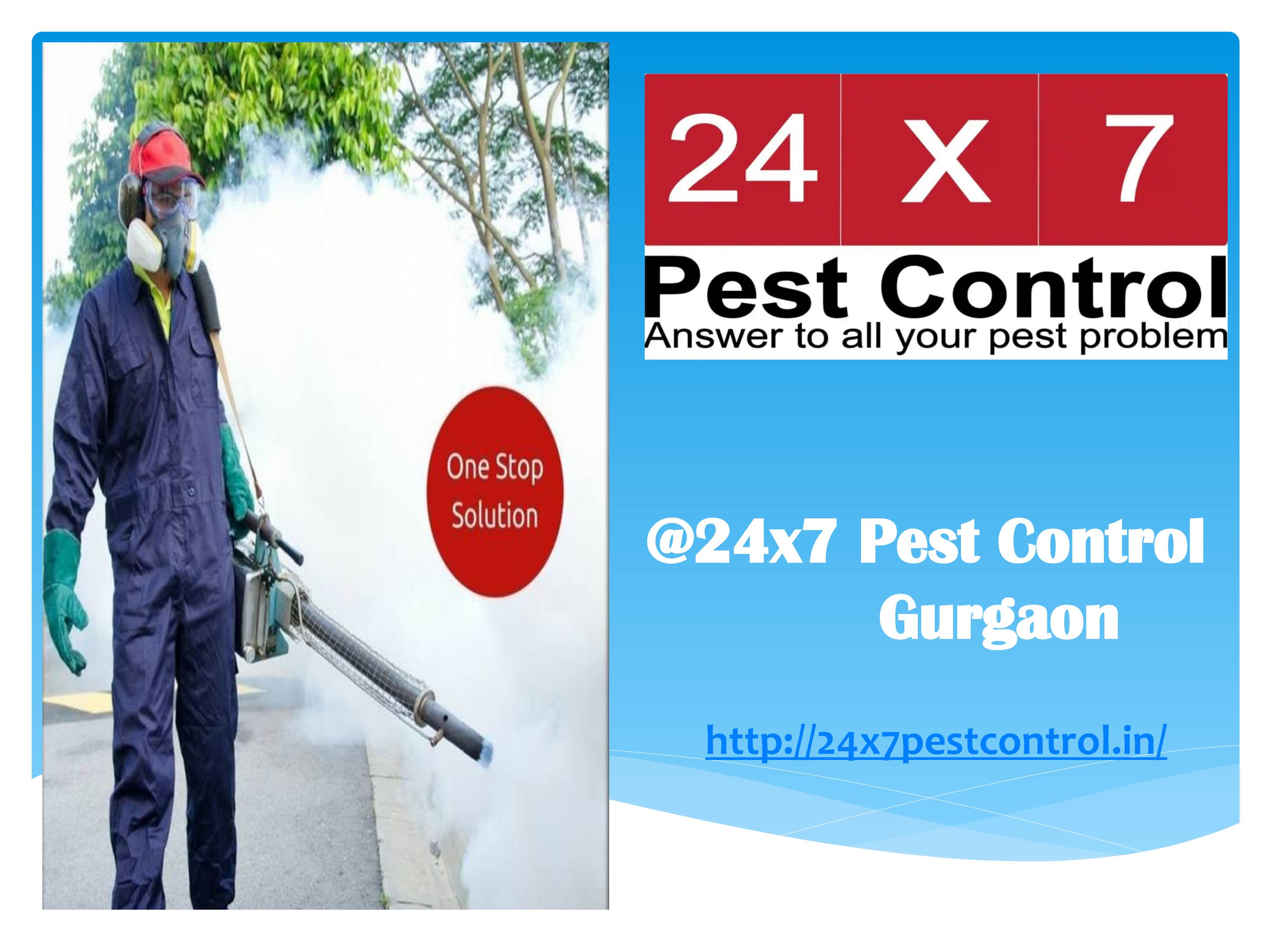Best Pest control Company in Delhi and Gurgaon by 24x7 Pest Control